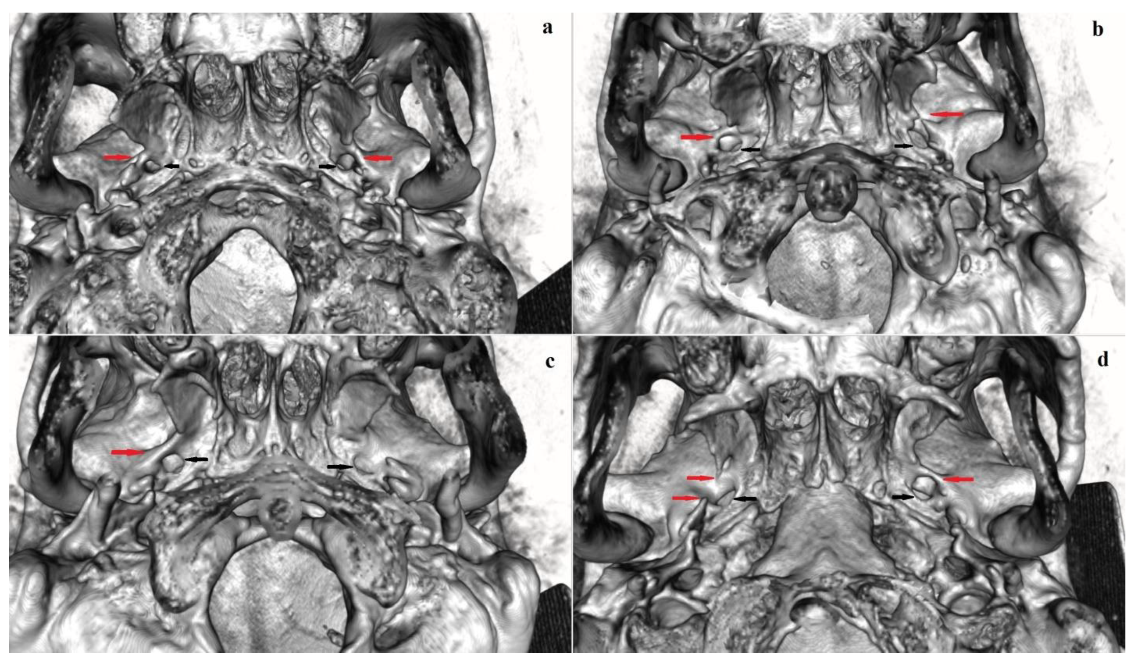 Biology 12 00492 g003 Biology 12 00492 g003