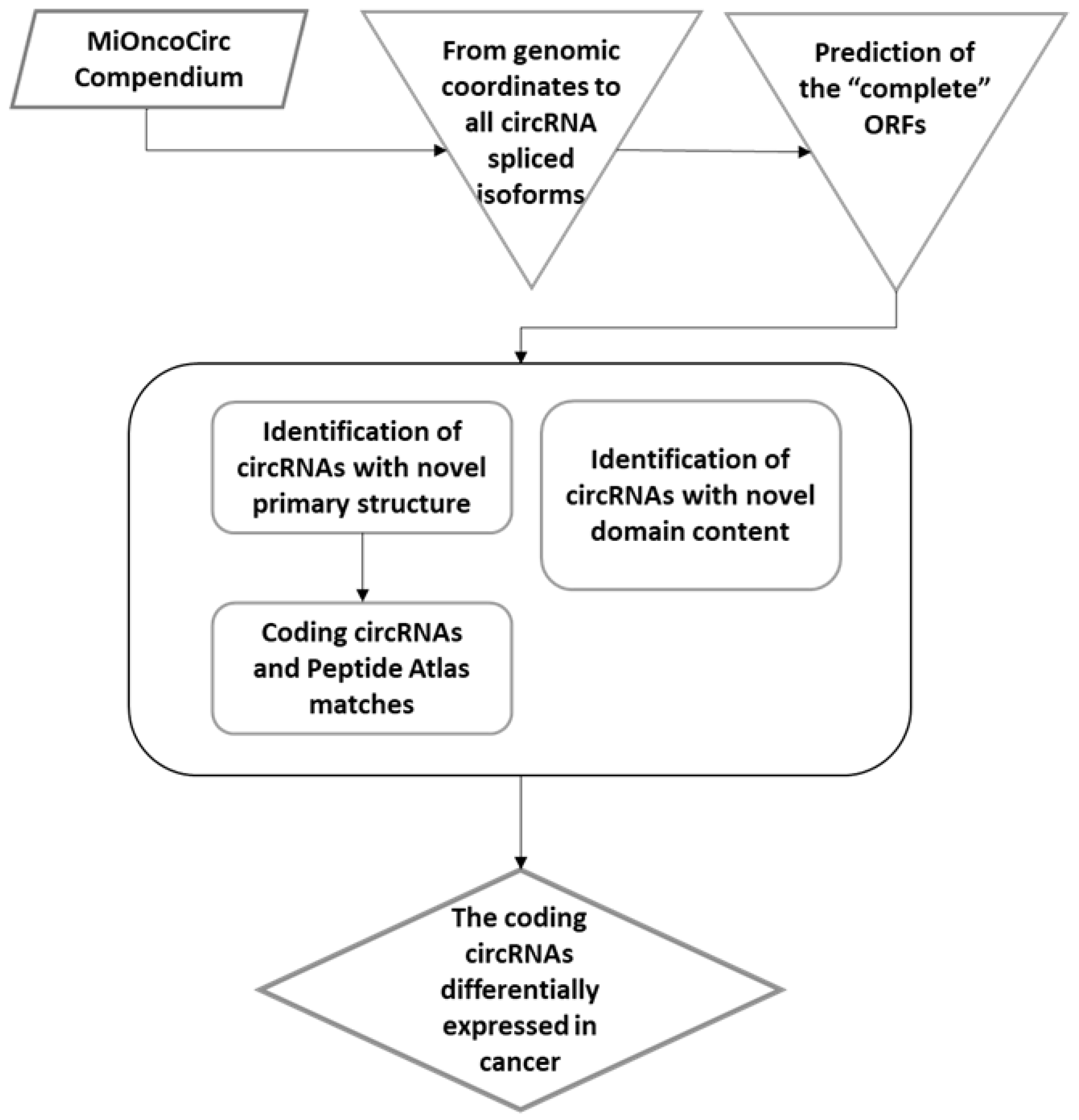 Biology 12 00493 g002