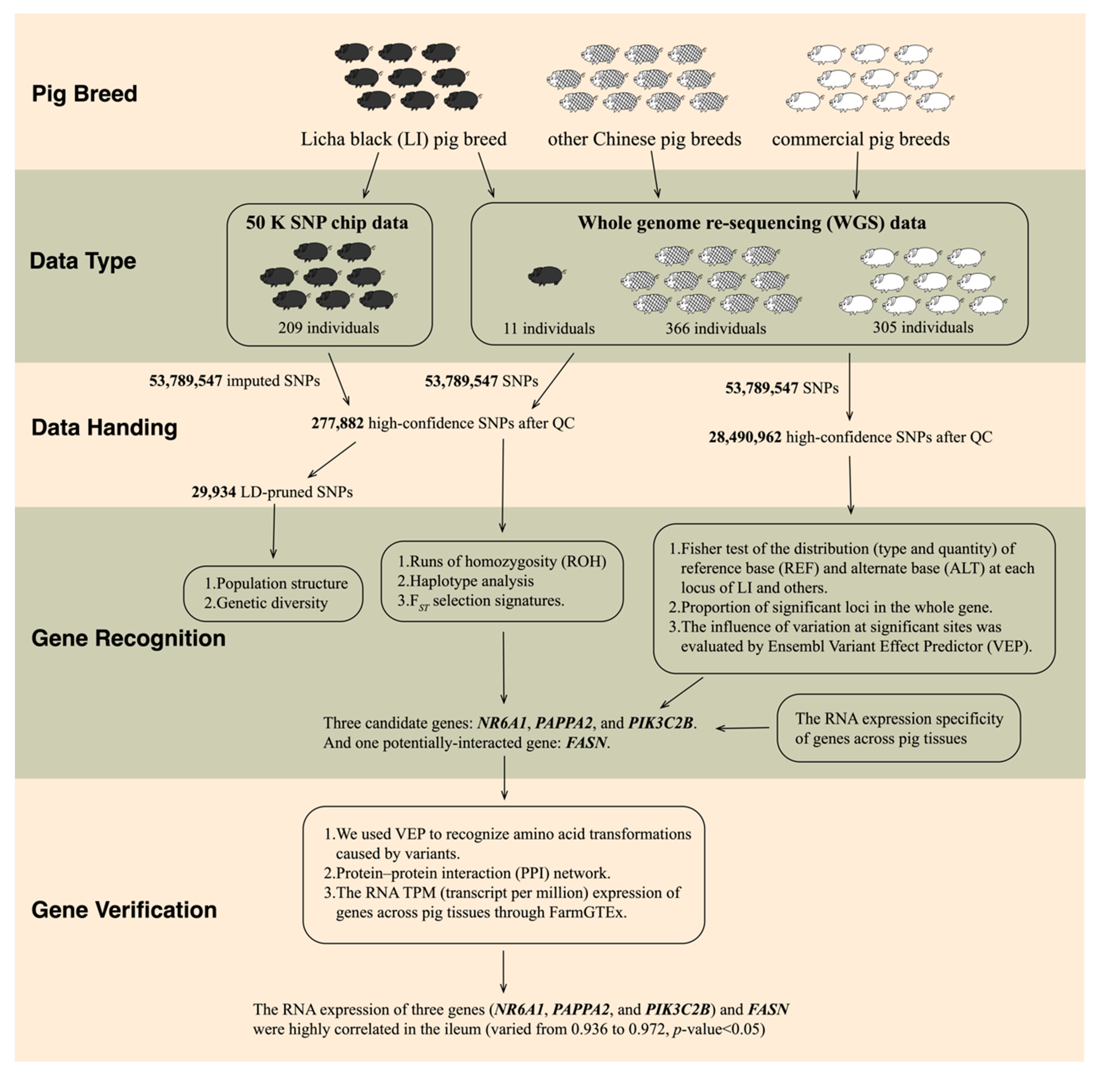 Biology 12 00500 g001