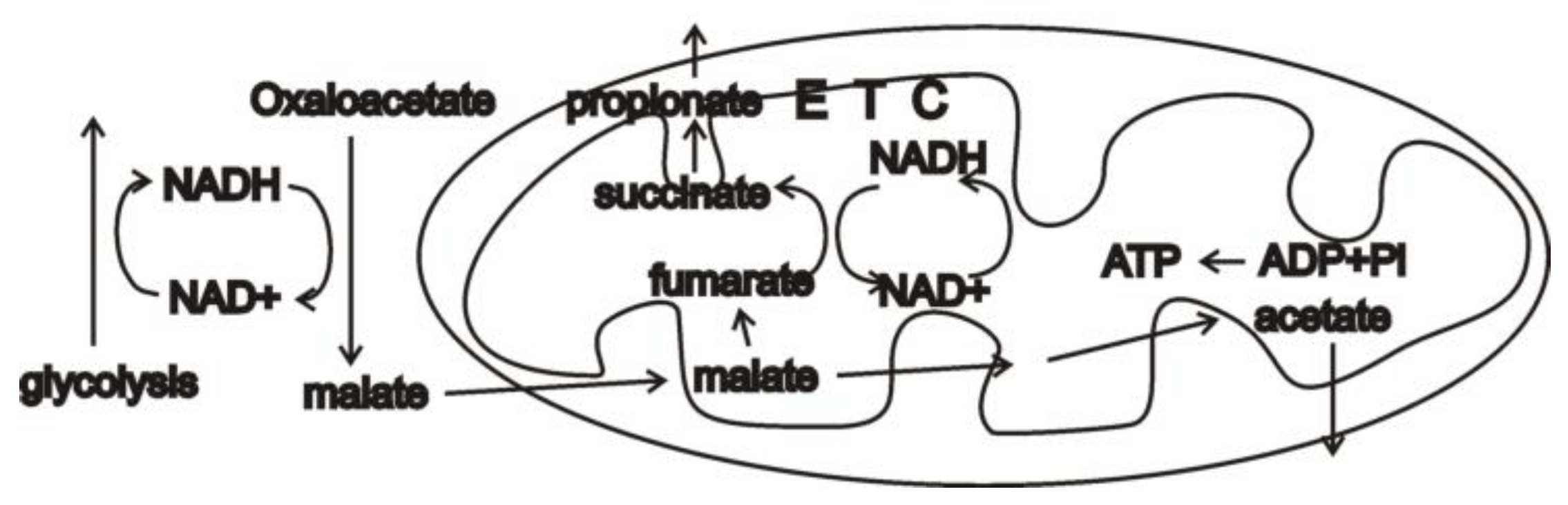 Biology 12 00502 g001 Biology 12 00502 g001