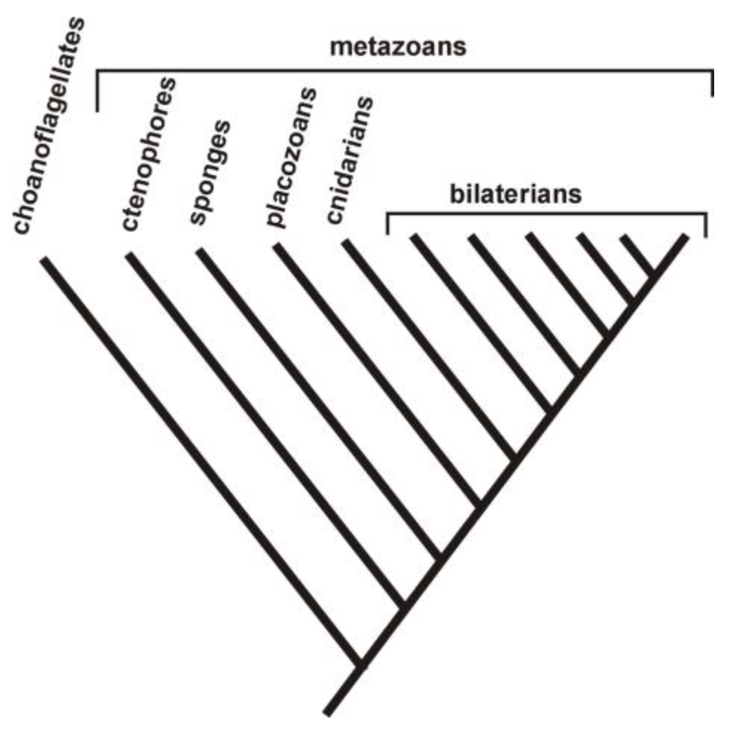 Biology 12 00502 g003 Biology 12 00502 g003