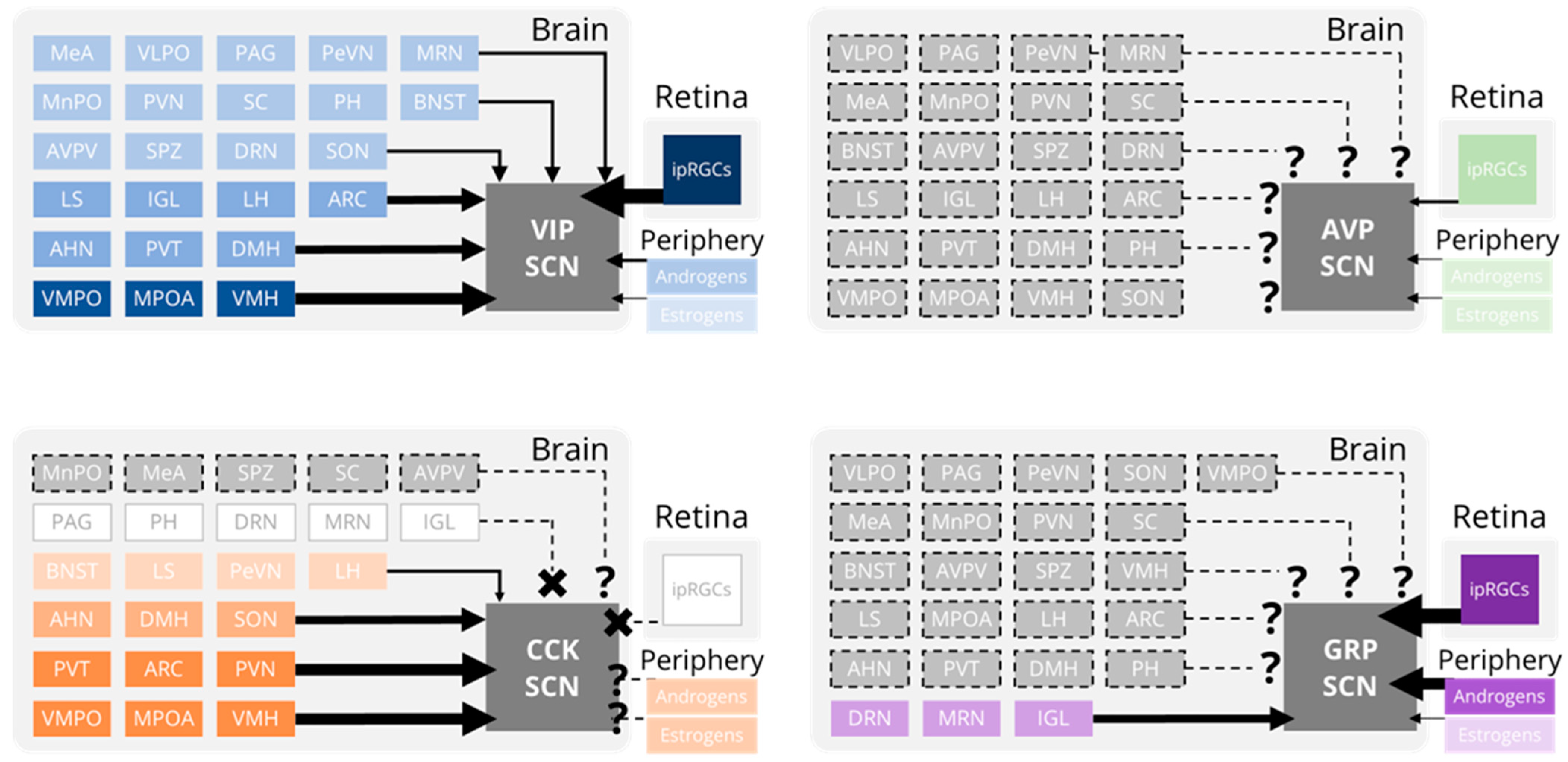 Biology 12 00508 g002 Biology 12 00508 g002