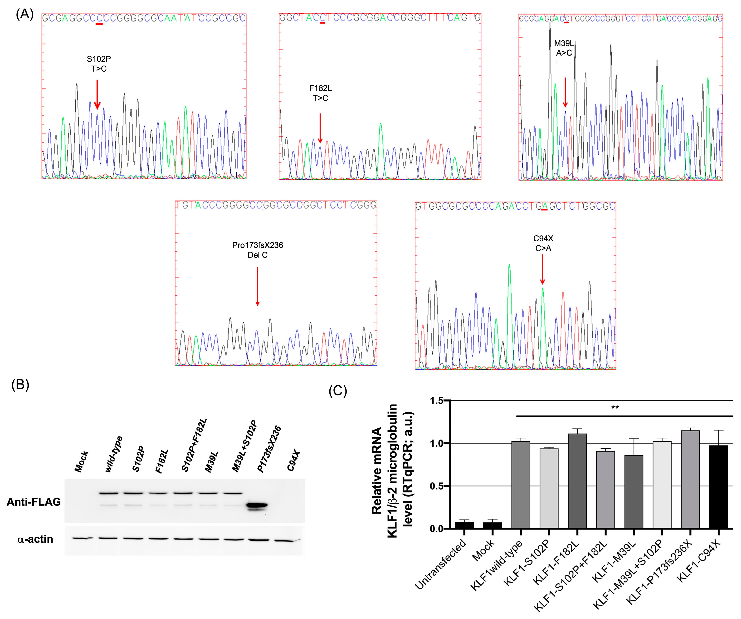 Biology 12 00510 g004