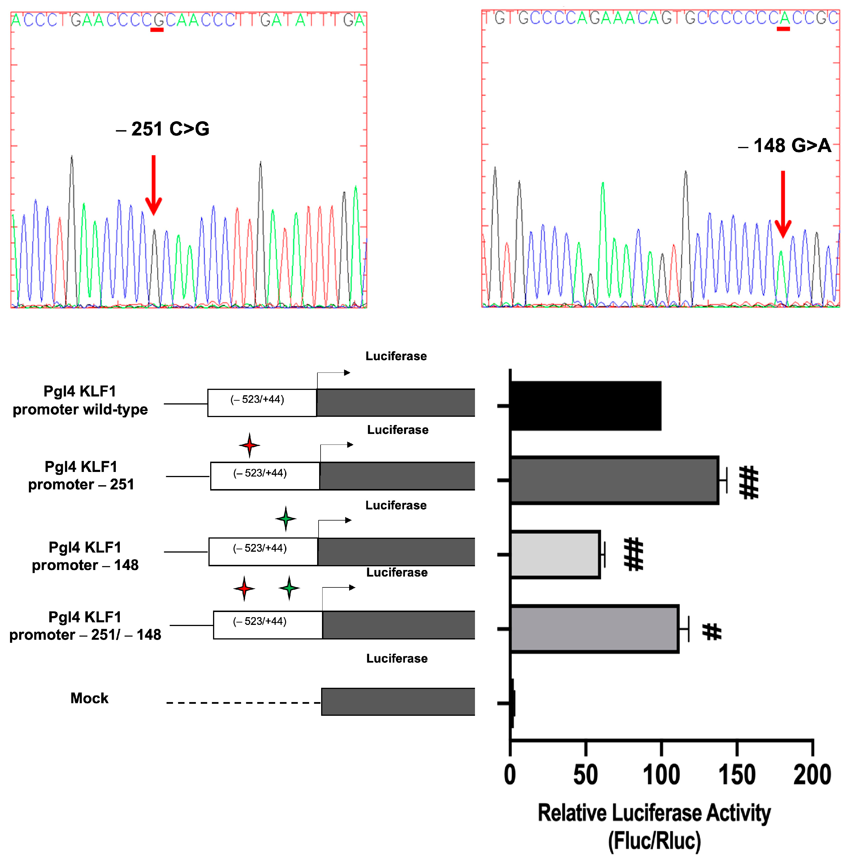 Biology 12 00510 g009