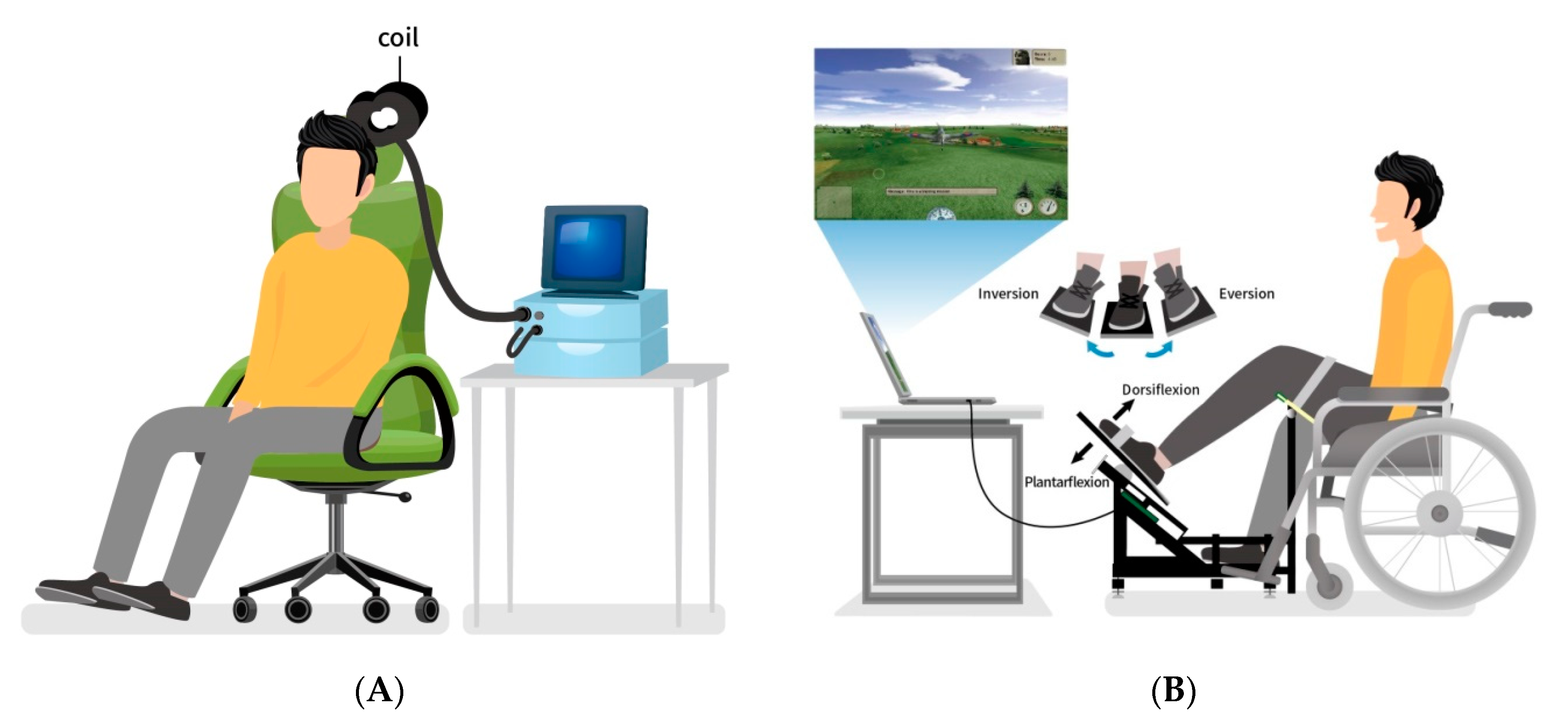 Biology 12 00515 g003 Biology 12 00515 g003