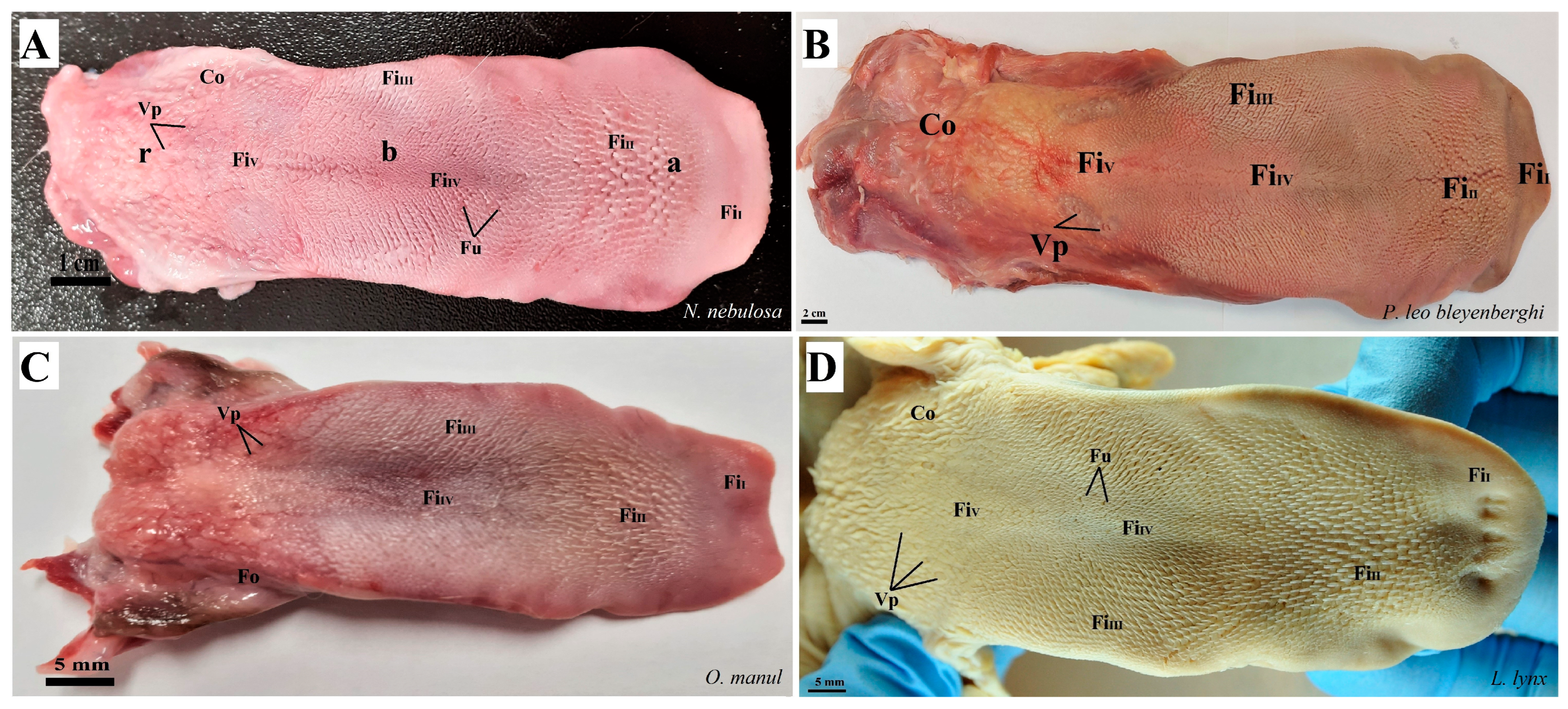Biology 12 00516 g002
