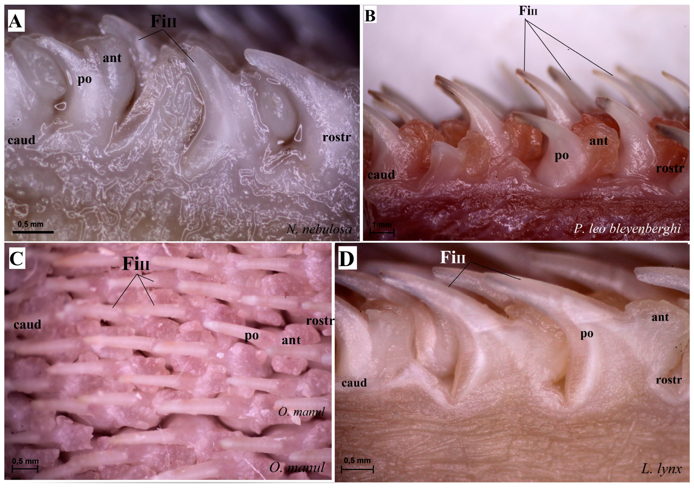 Biology 12 00516 g003