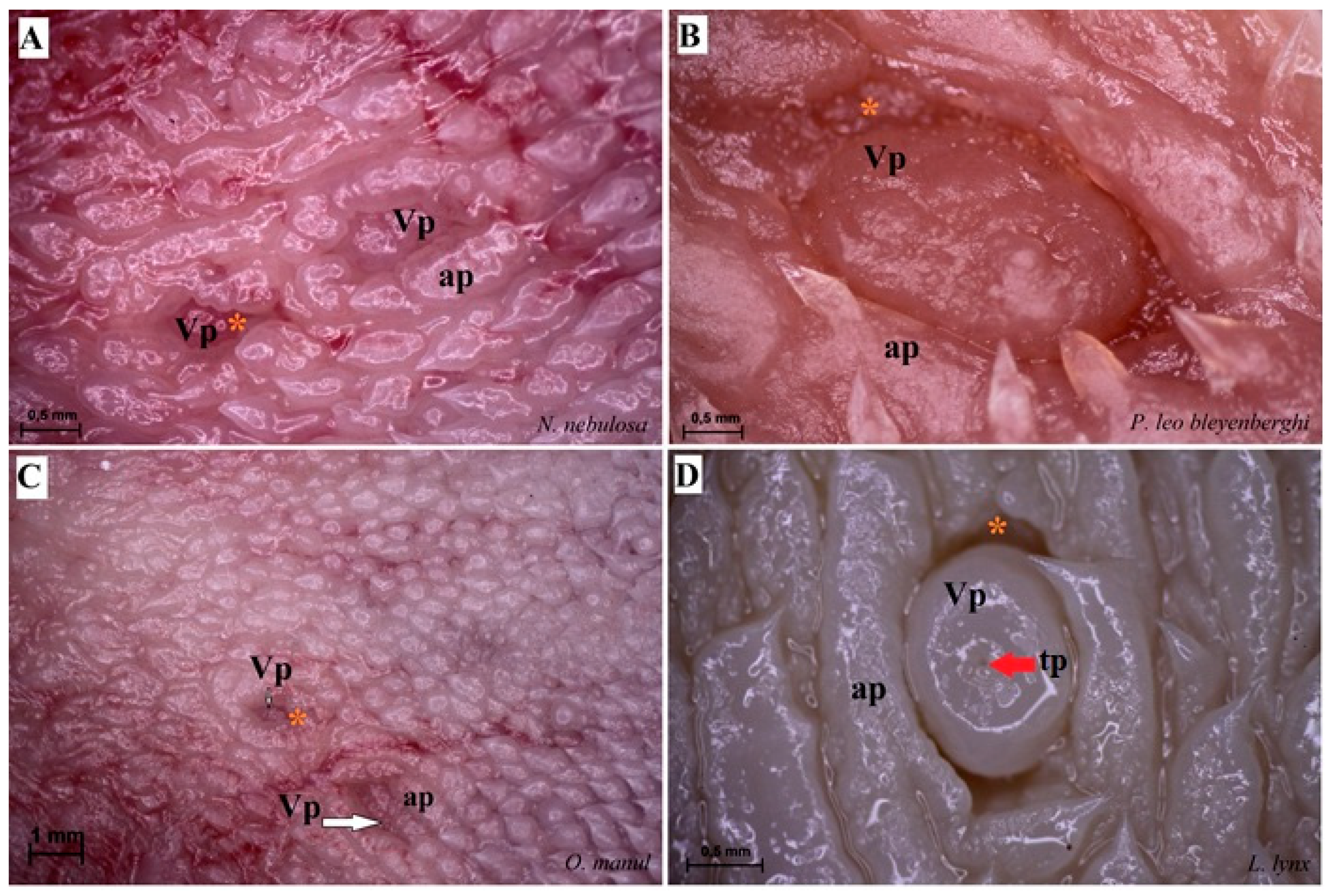 Biology 12 00516 g005