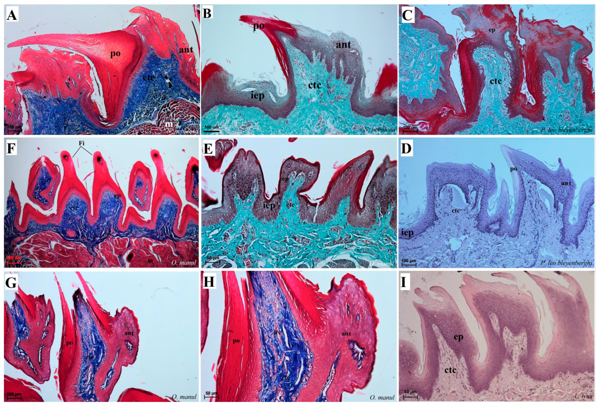 Biology 12 00516 g008
