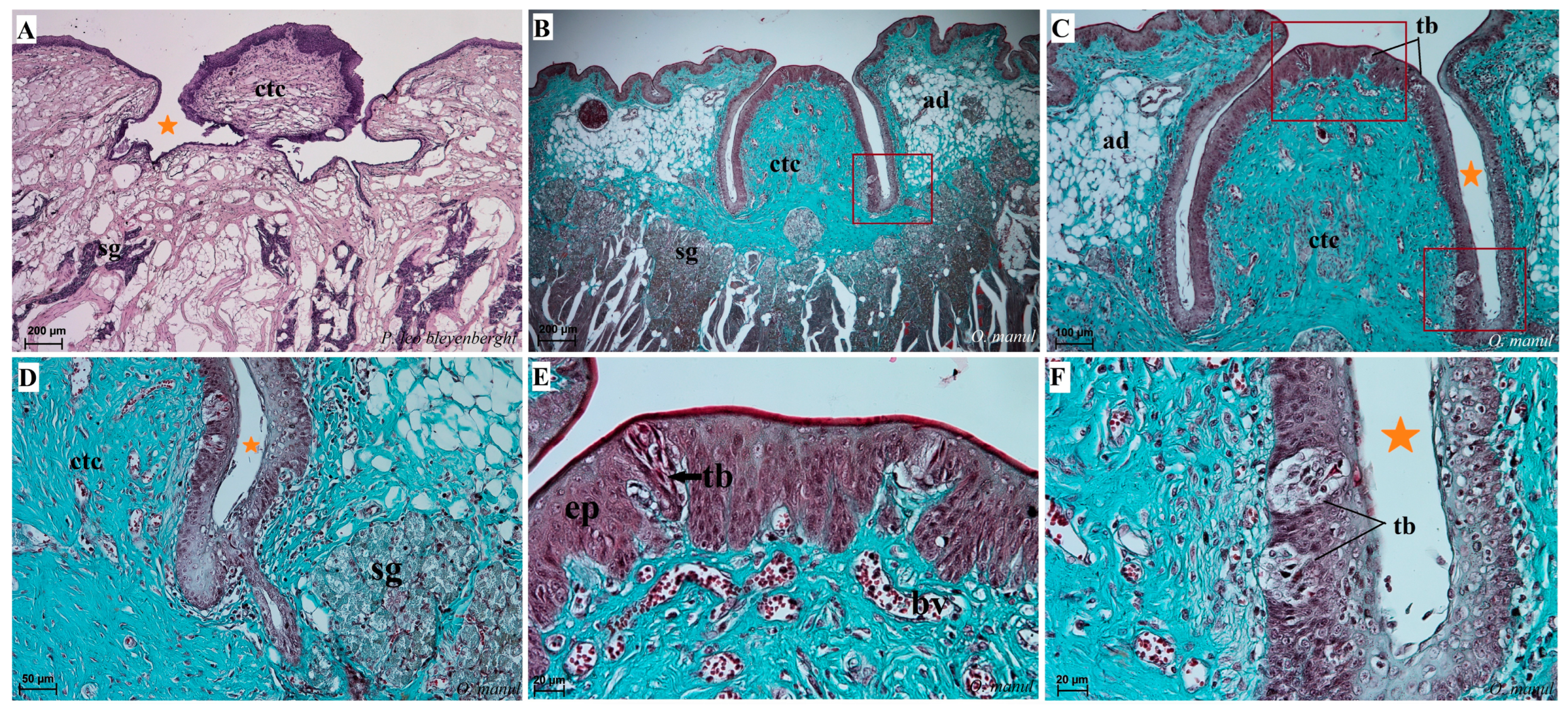 Biology 12 00516 g010