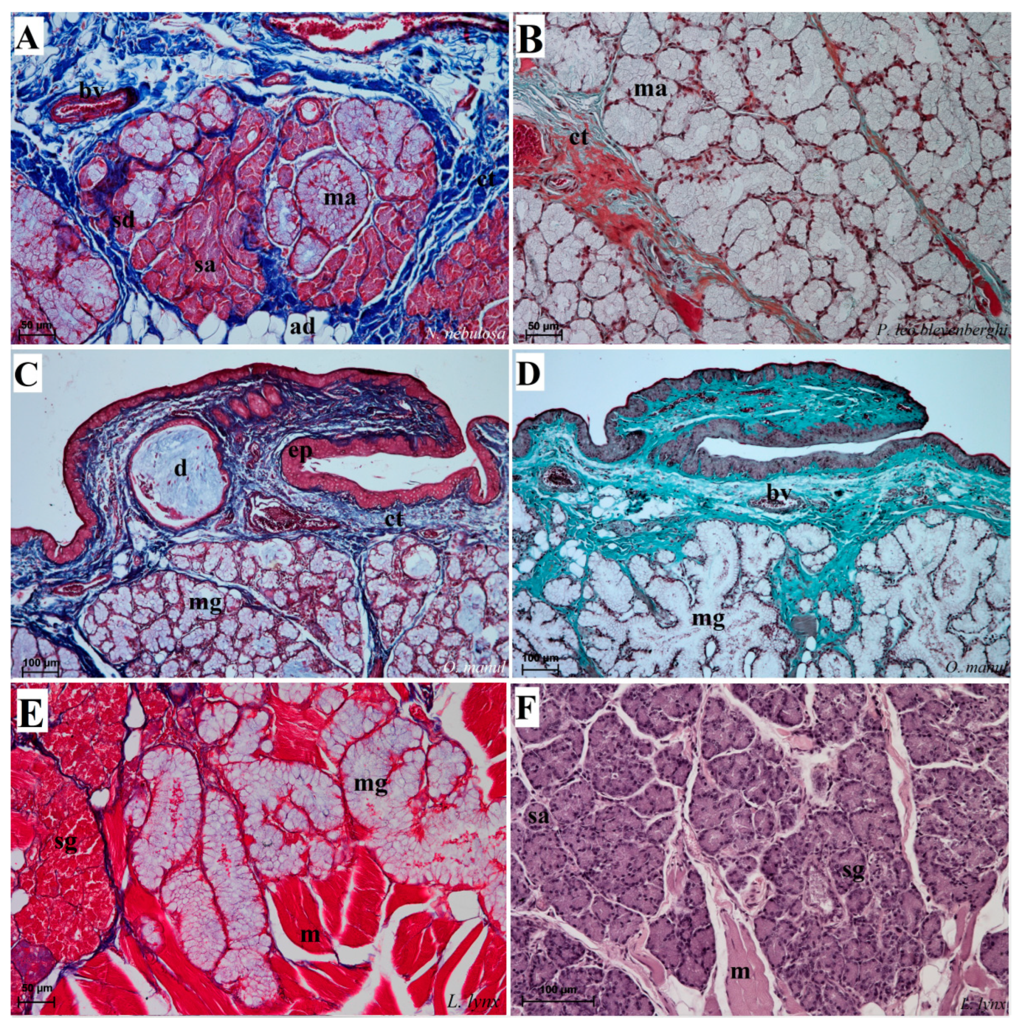 Biology 12 00516 g012