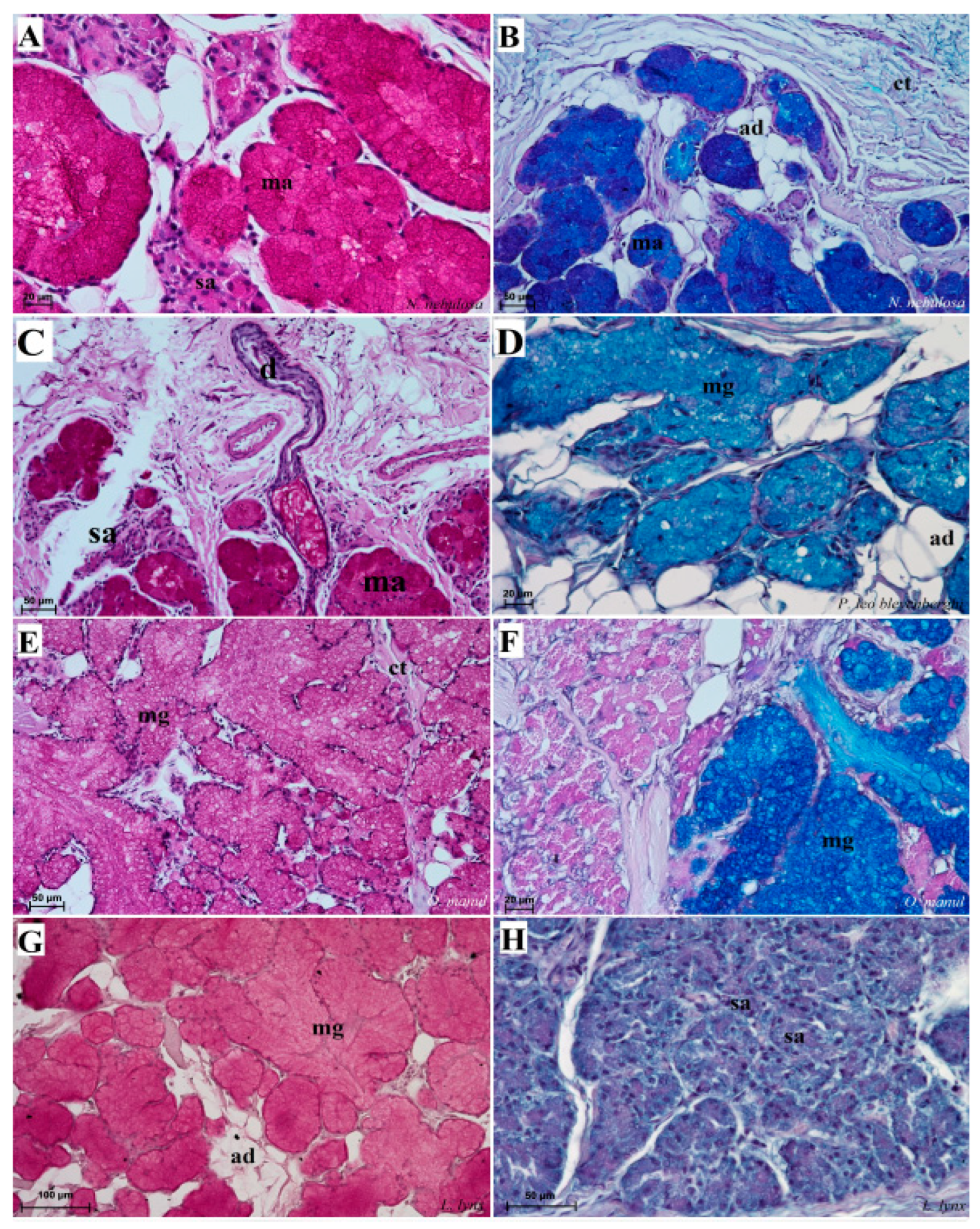 Biology 12 00516 g013