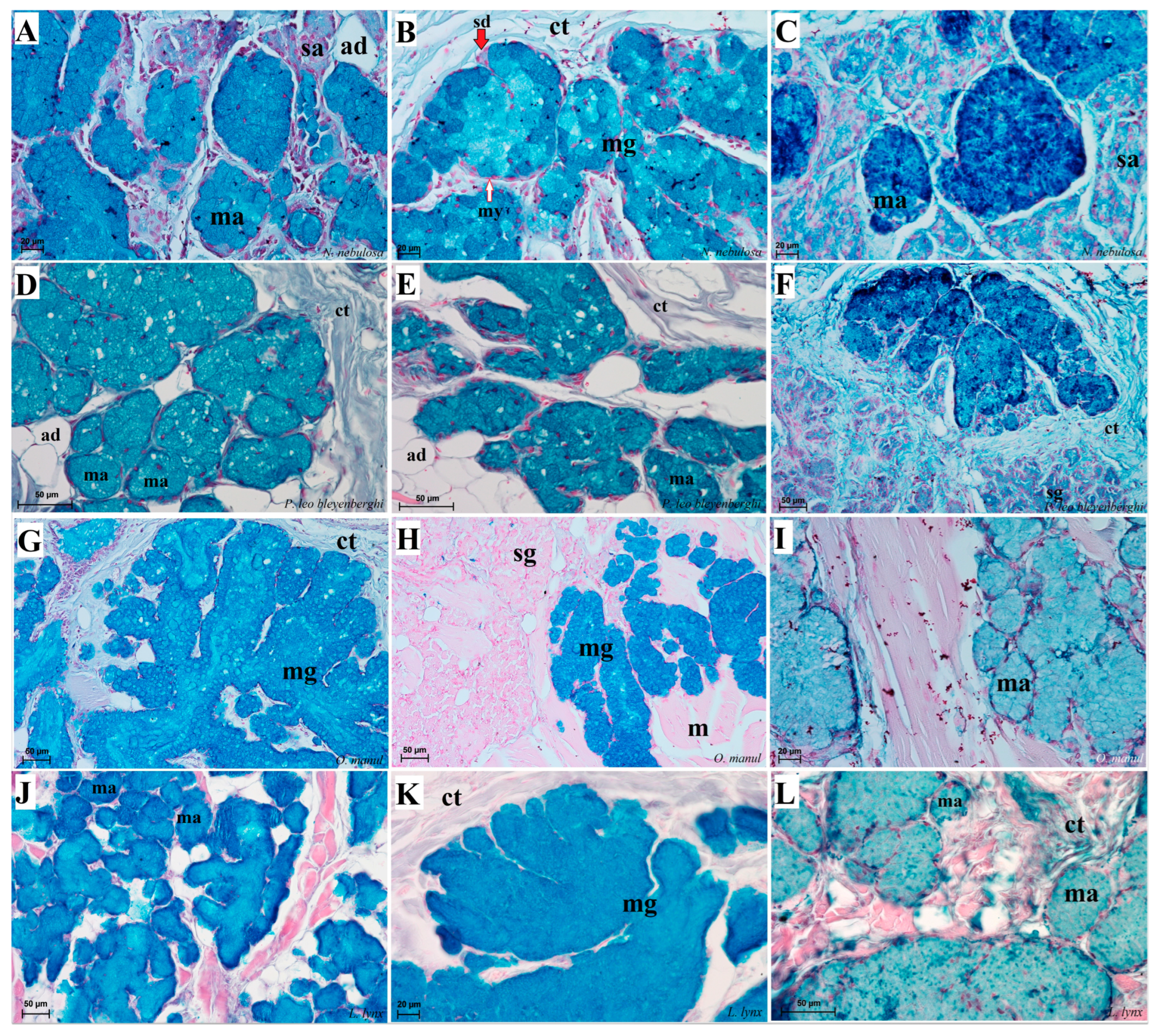 Biology 12 00516 g014