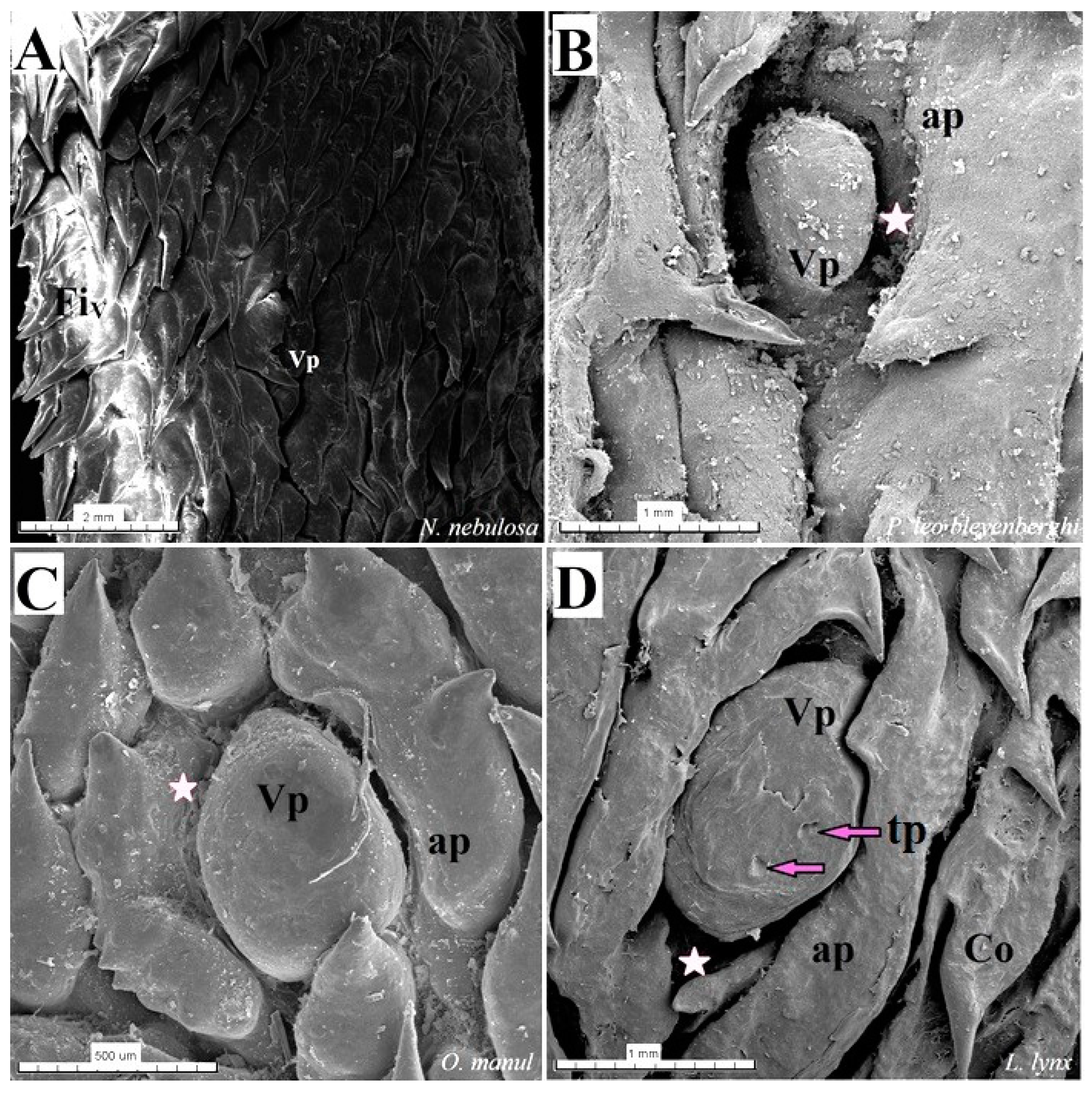 Biology 12 00516 g018
