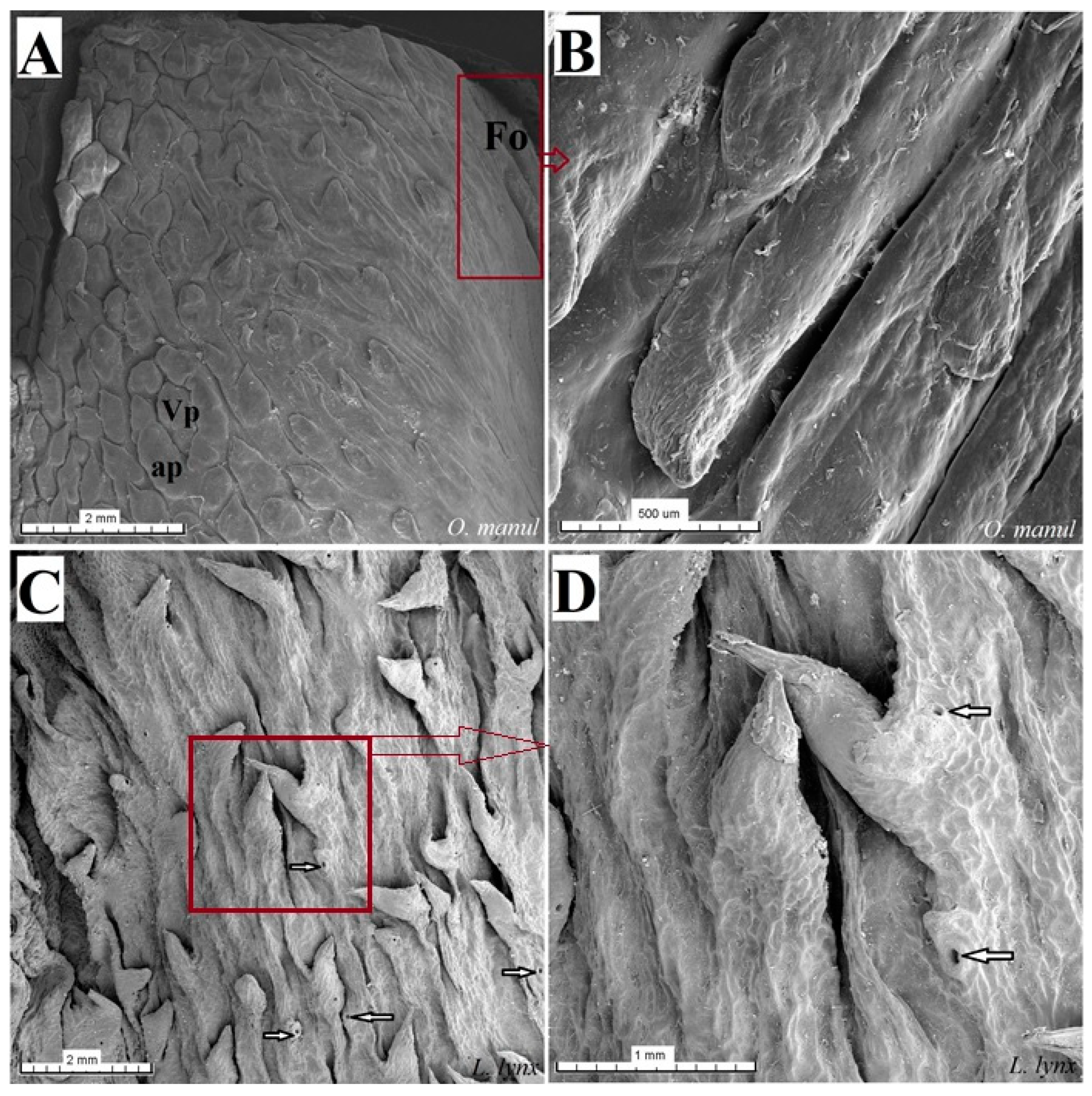 Biology 12 00516 g019
