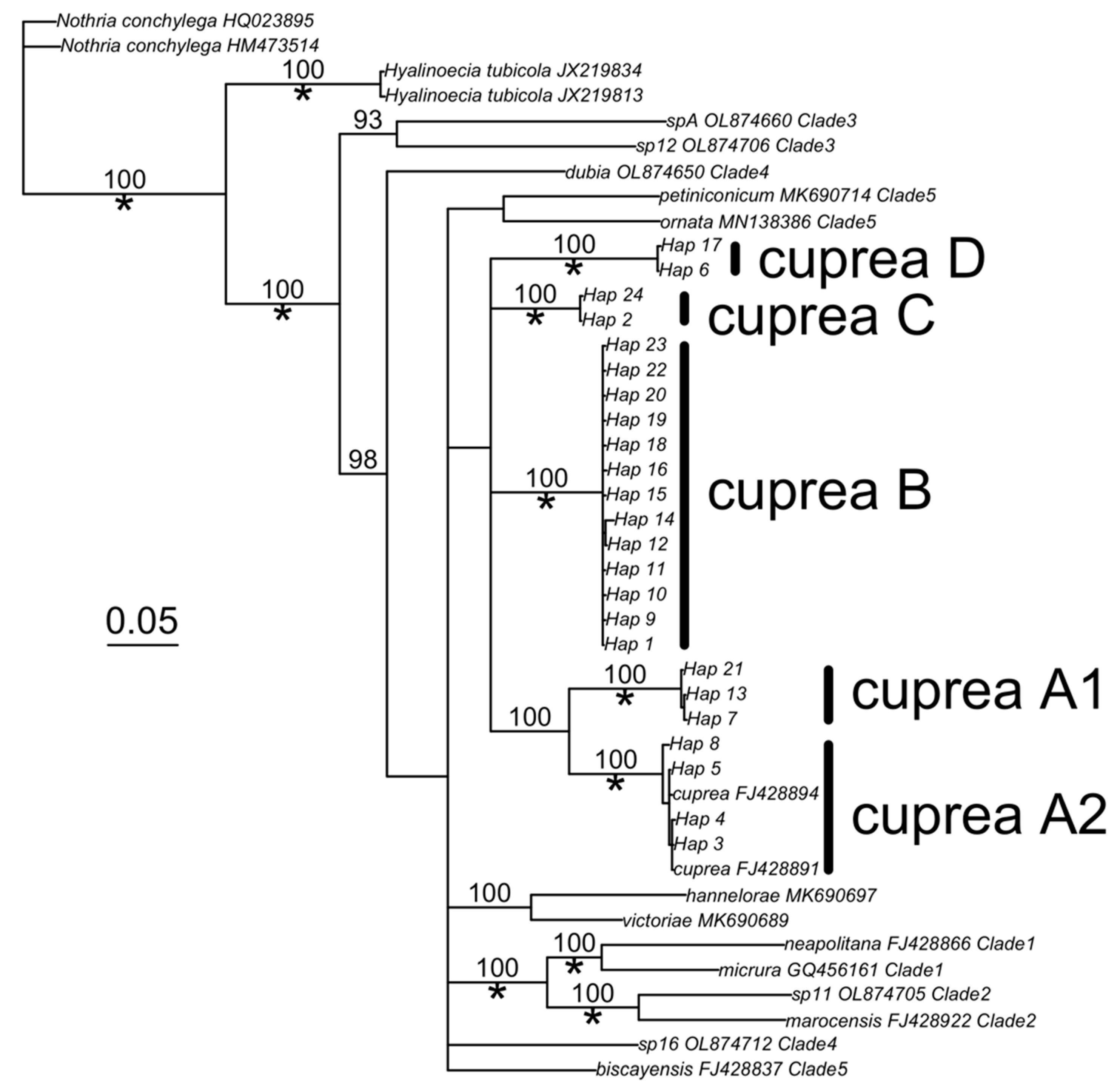 Biology 12 00521 g001