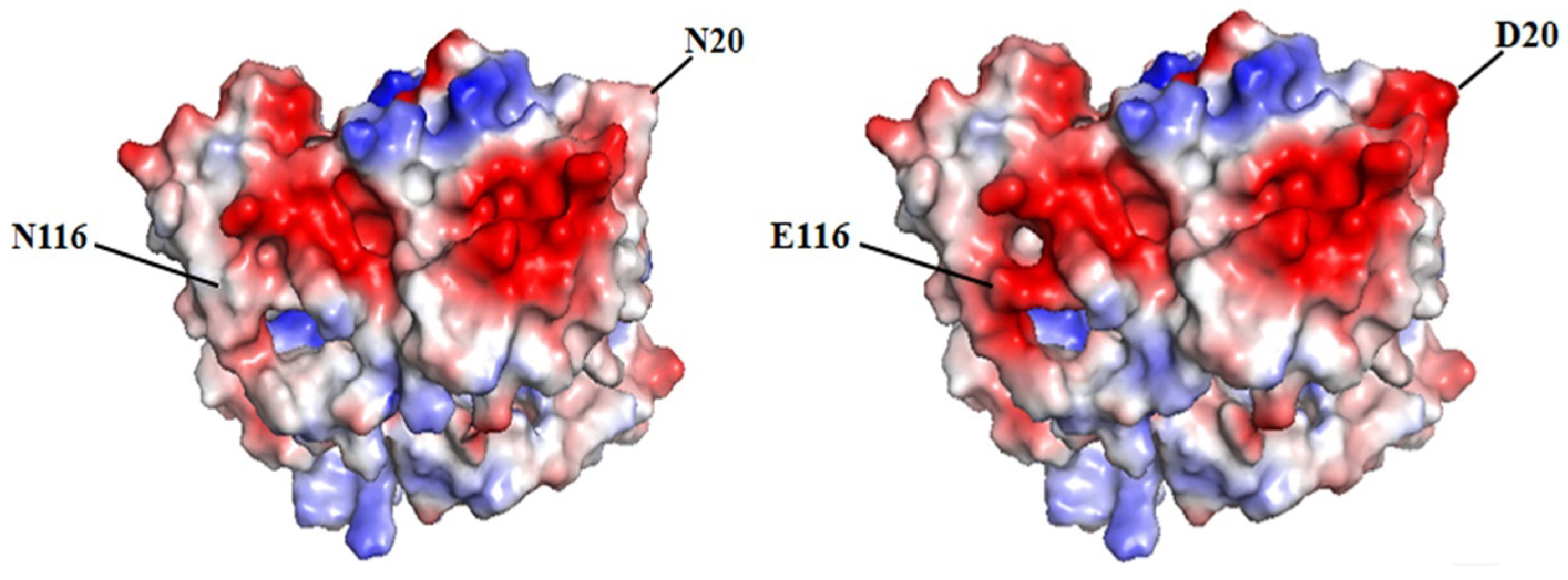 Biology 12 00522 g002