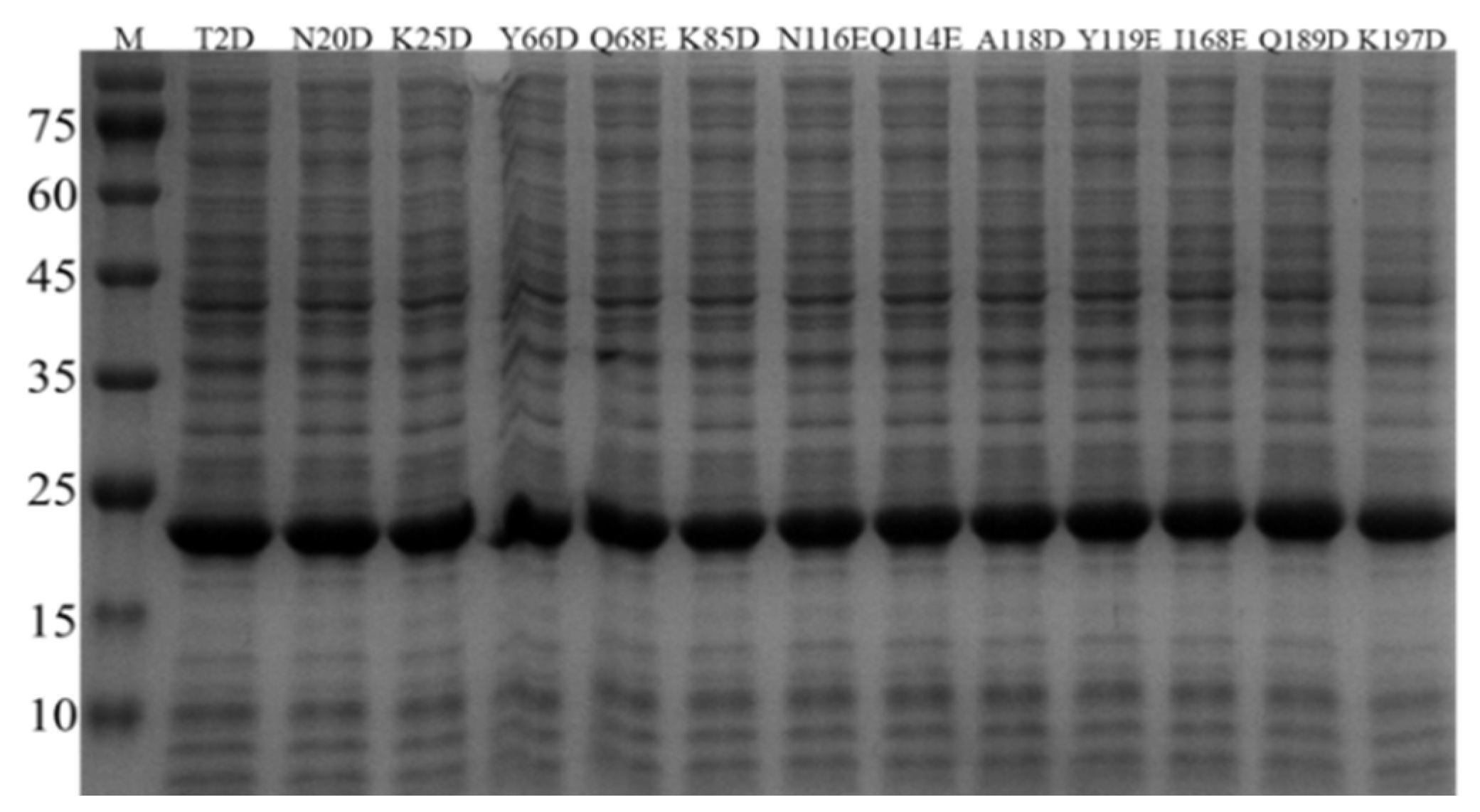 Biology 12 00522 g003