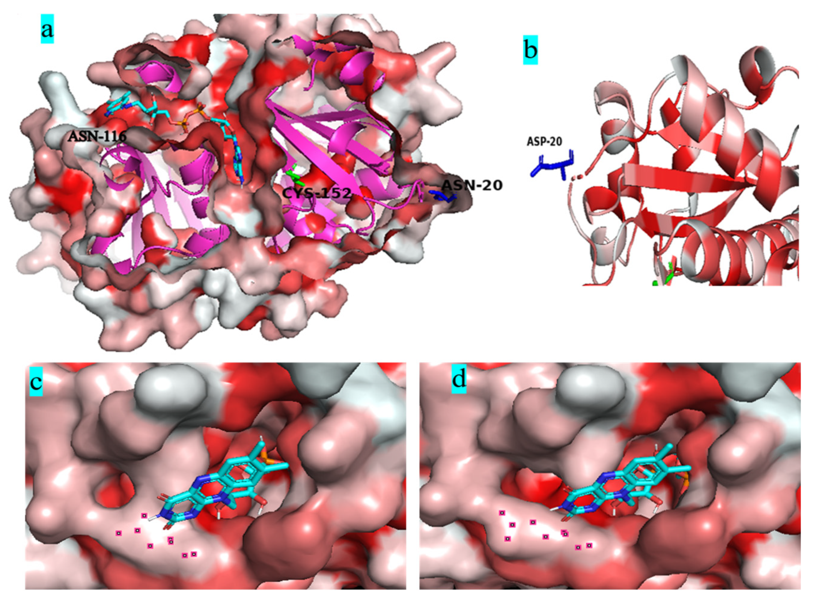 Biology 12 00522 g008