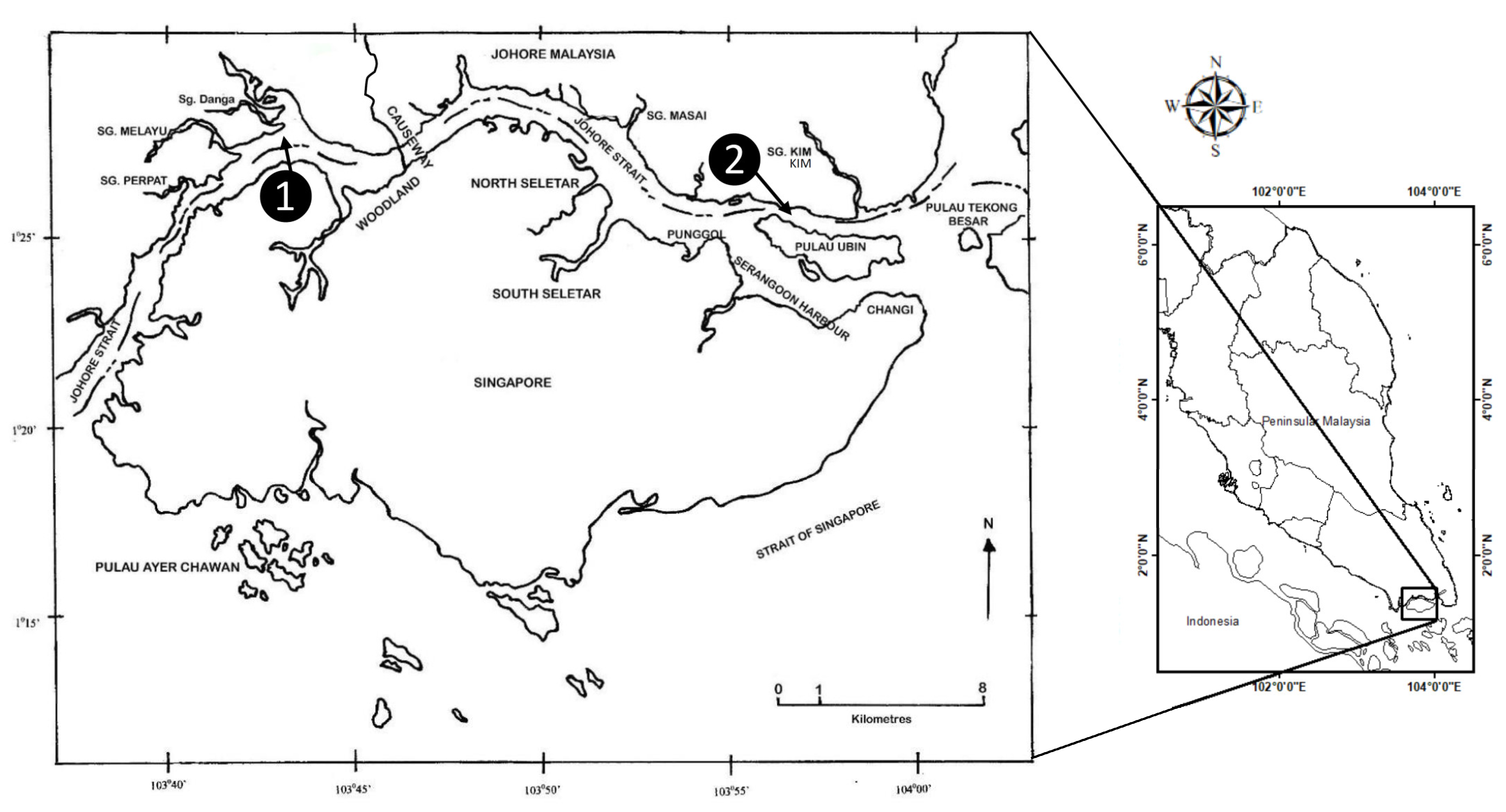 Biology 12 00523 g001 Biology 12 00523 g001