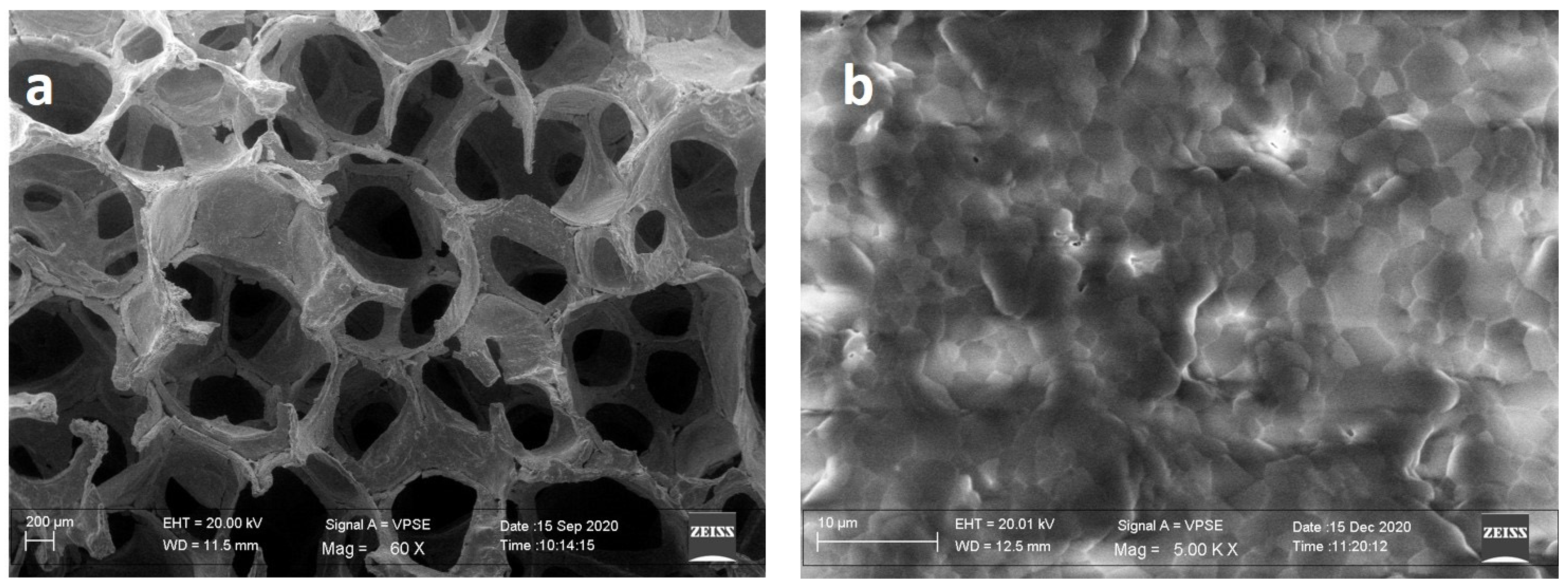 Biology 12 00528 g001