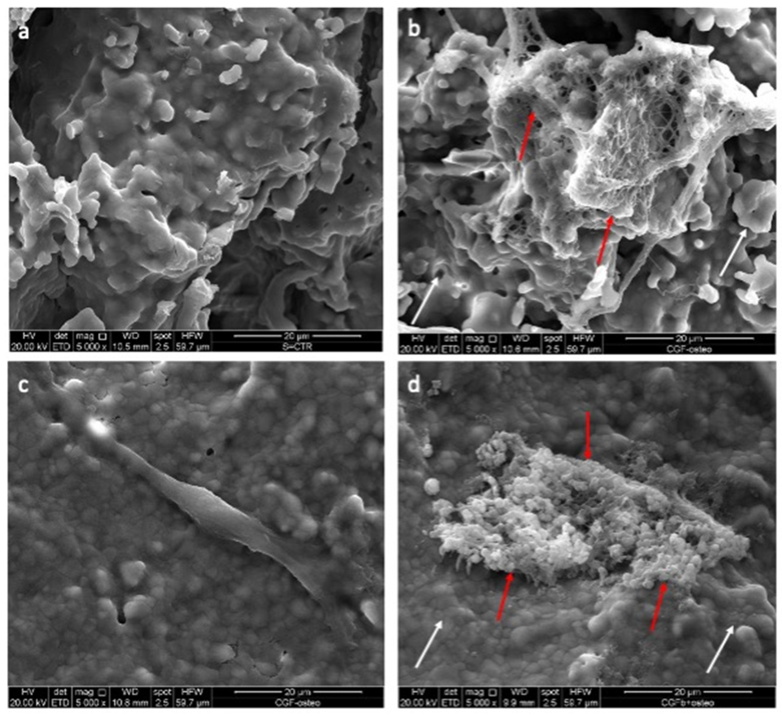 Biology 12 00528 g006
