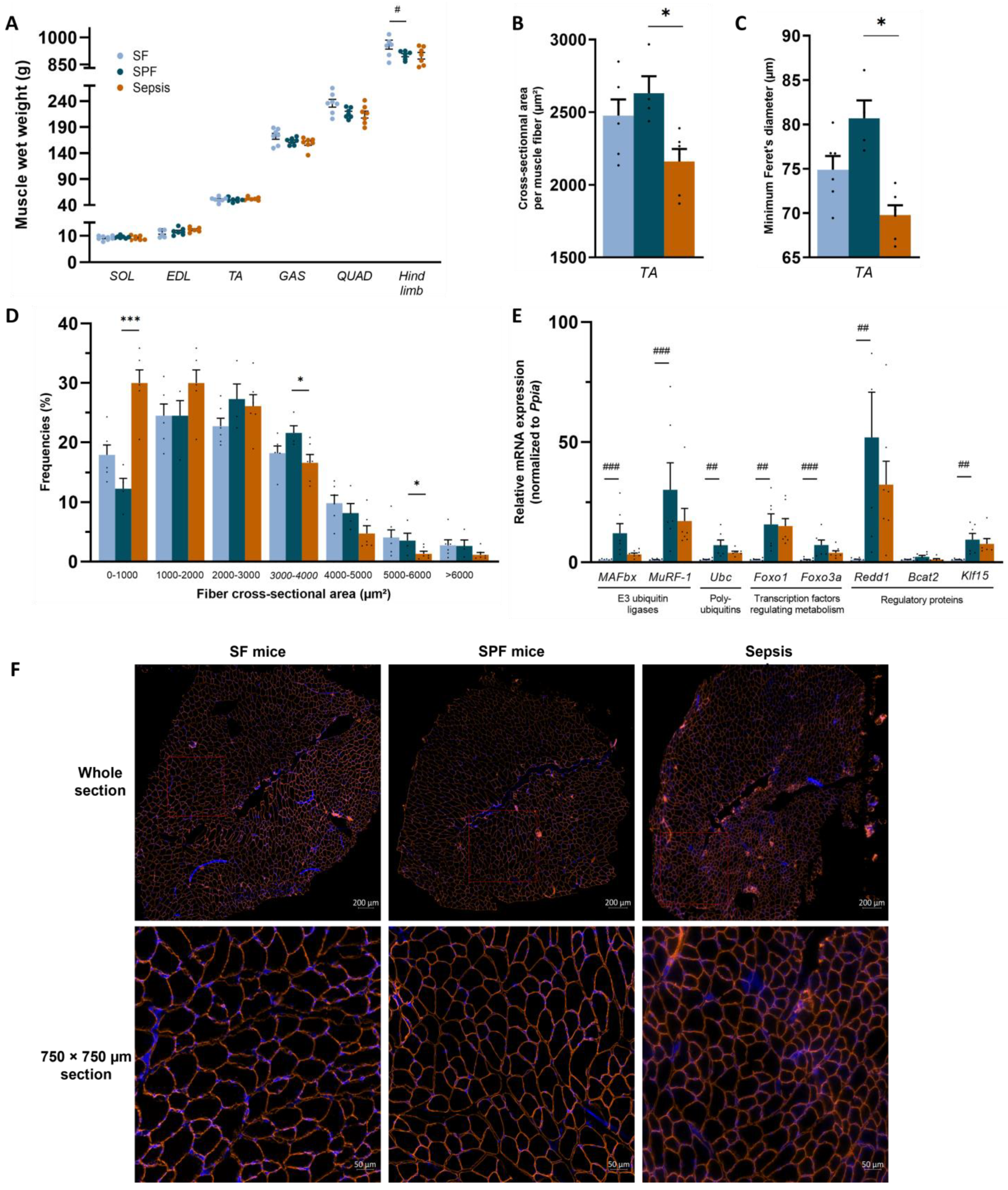 Biology 12 00529 g003 Biology 12 00529 g003