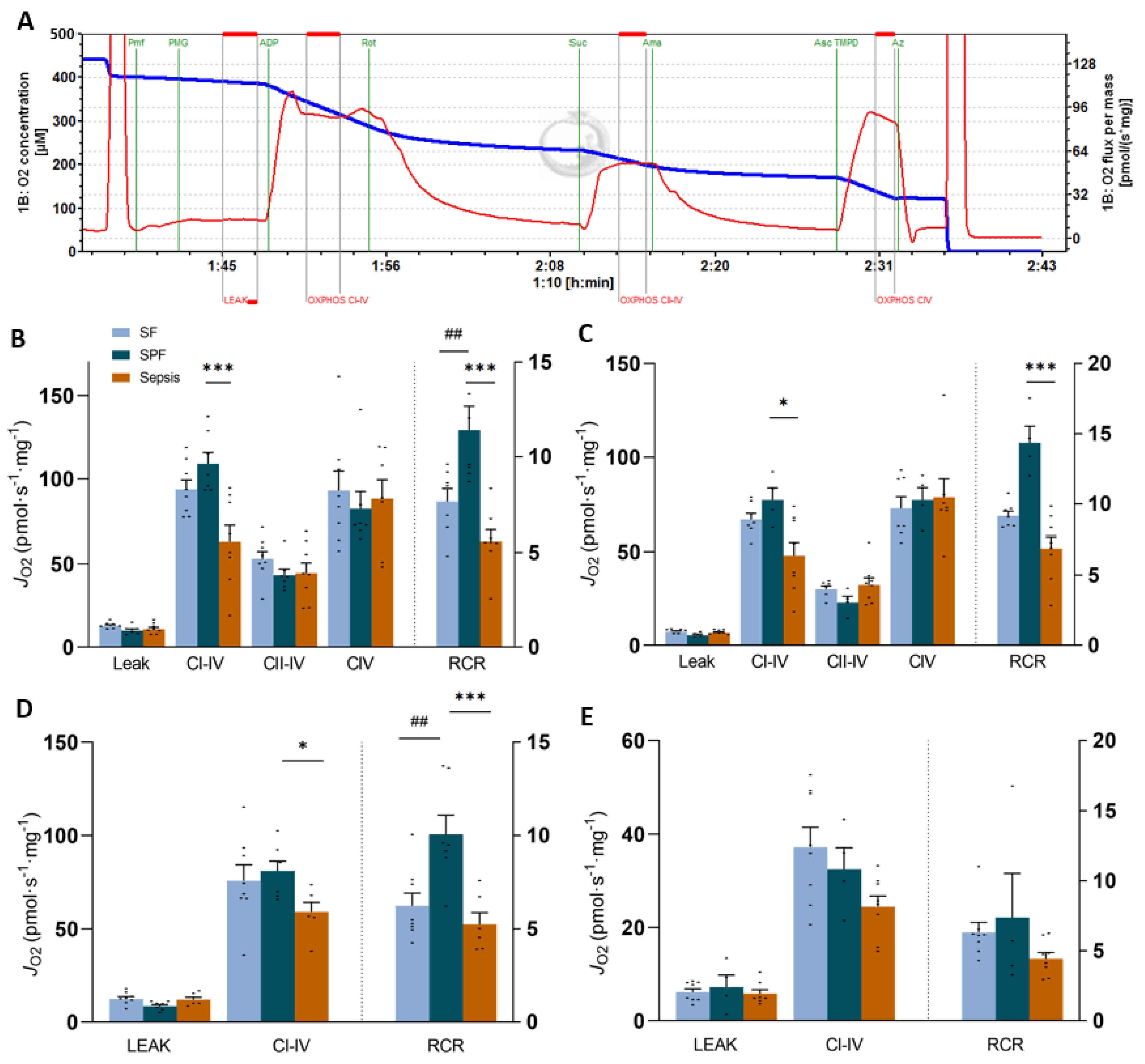 Biology 12 00529 g004 Biology 12 00529 g004