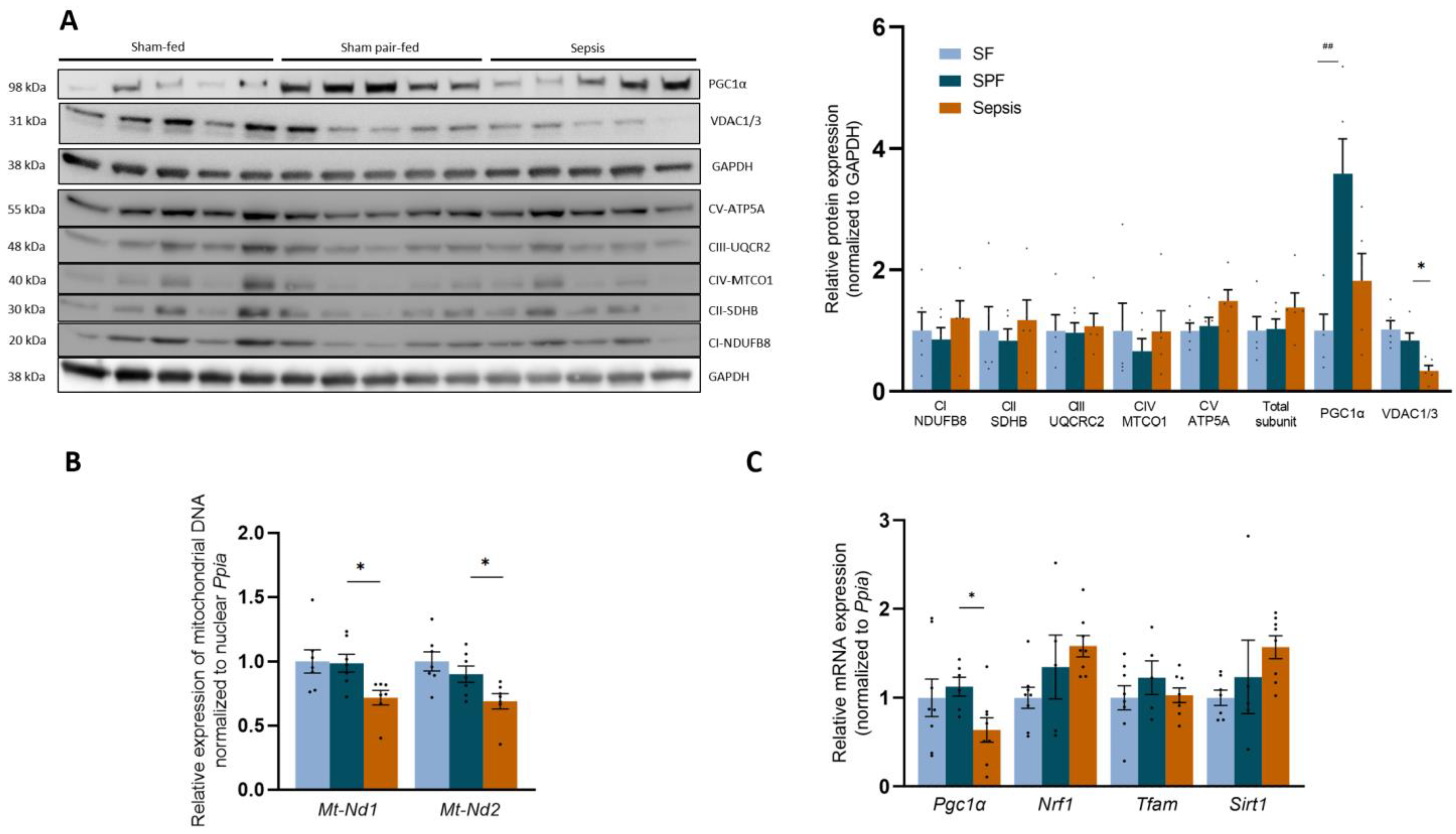 Biology 12 00529 g005 Biology 12 00529 g005