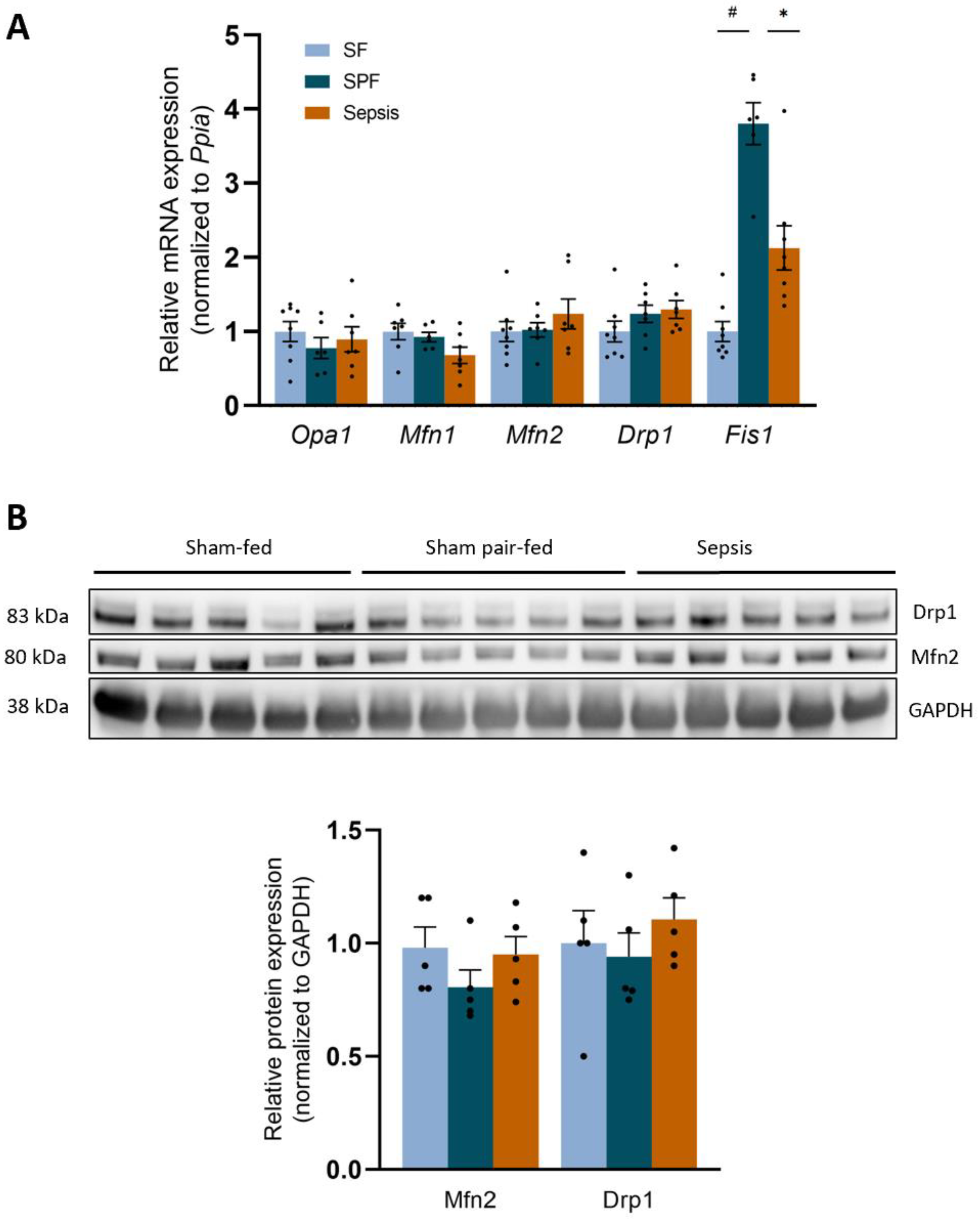 Biology 12 00529 g006 Biology 12 00529 g006