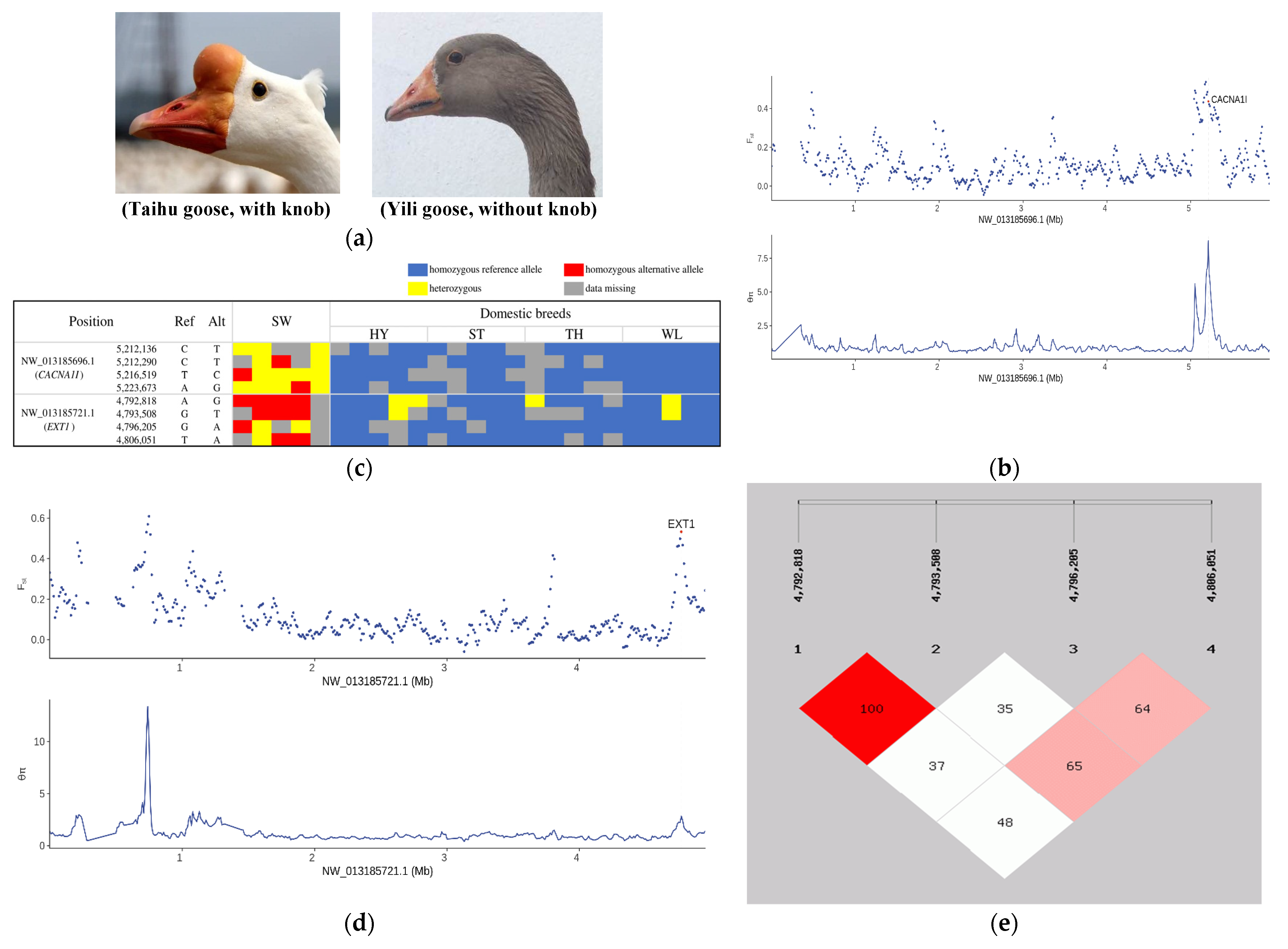 Biology 12 00532 g003