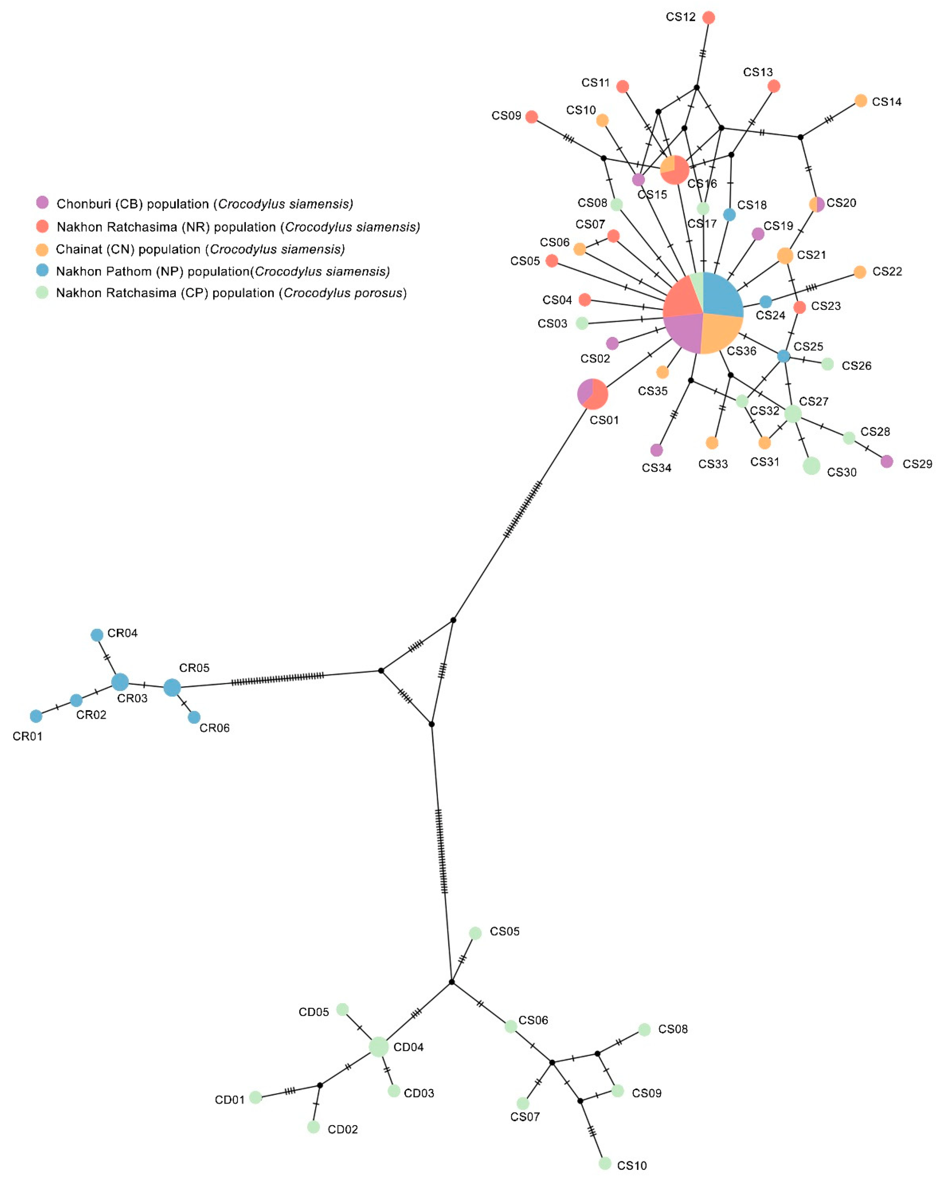 Biology 12 00535 g004 Biology 12 00535 g004