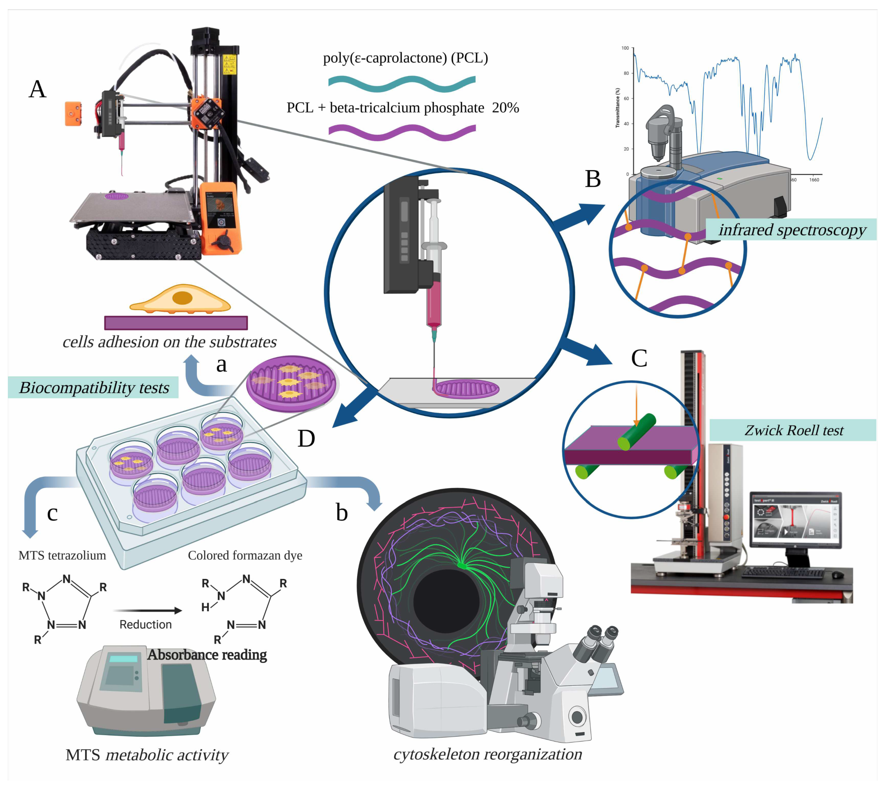 Biology 12 00536 g001 Biology 12 00536 g001