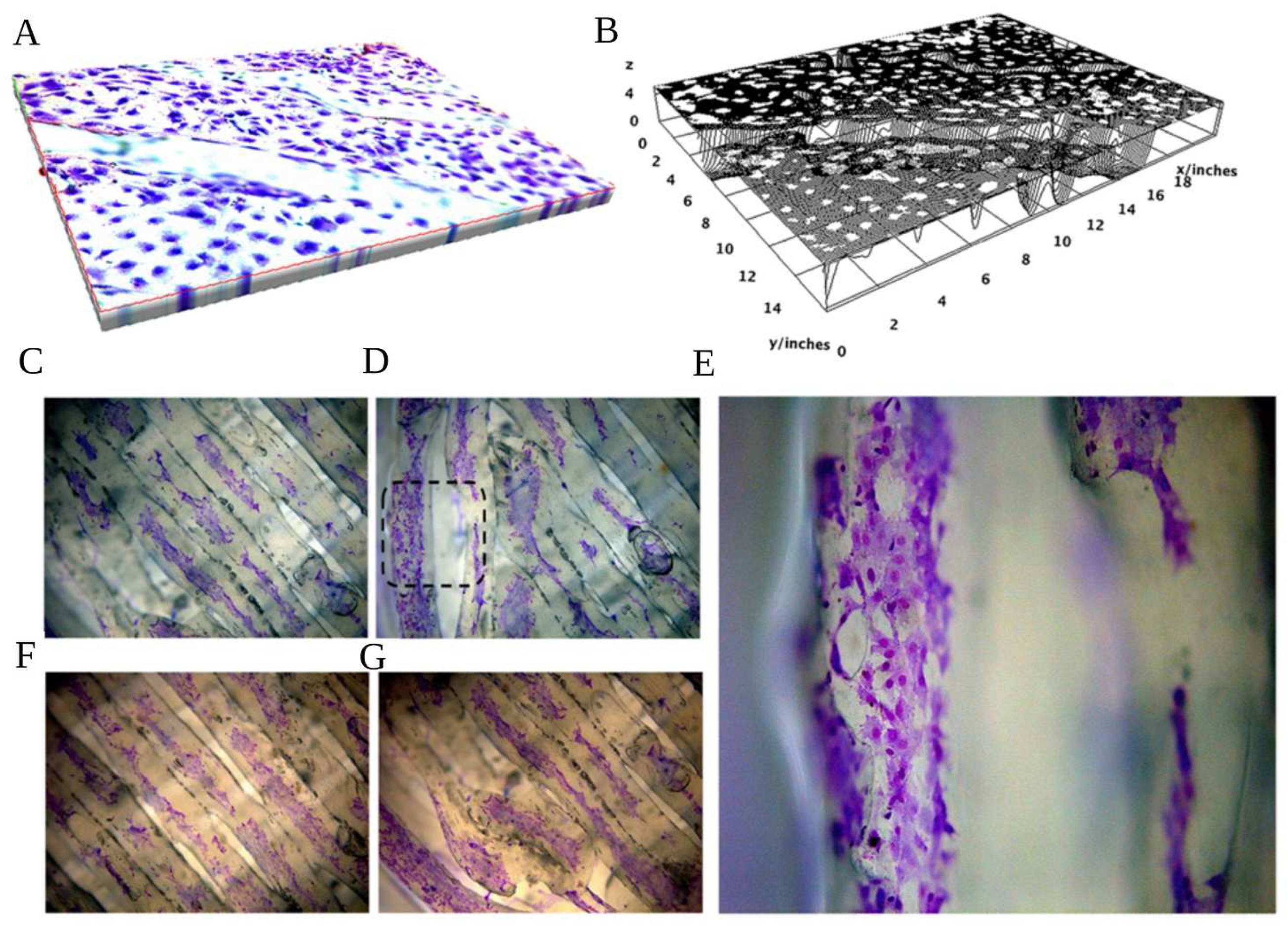 Biology 12 00536 g006 Biology 12 00536 g006