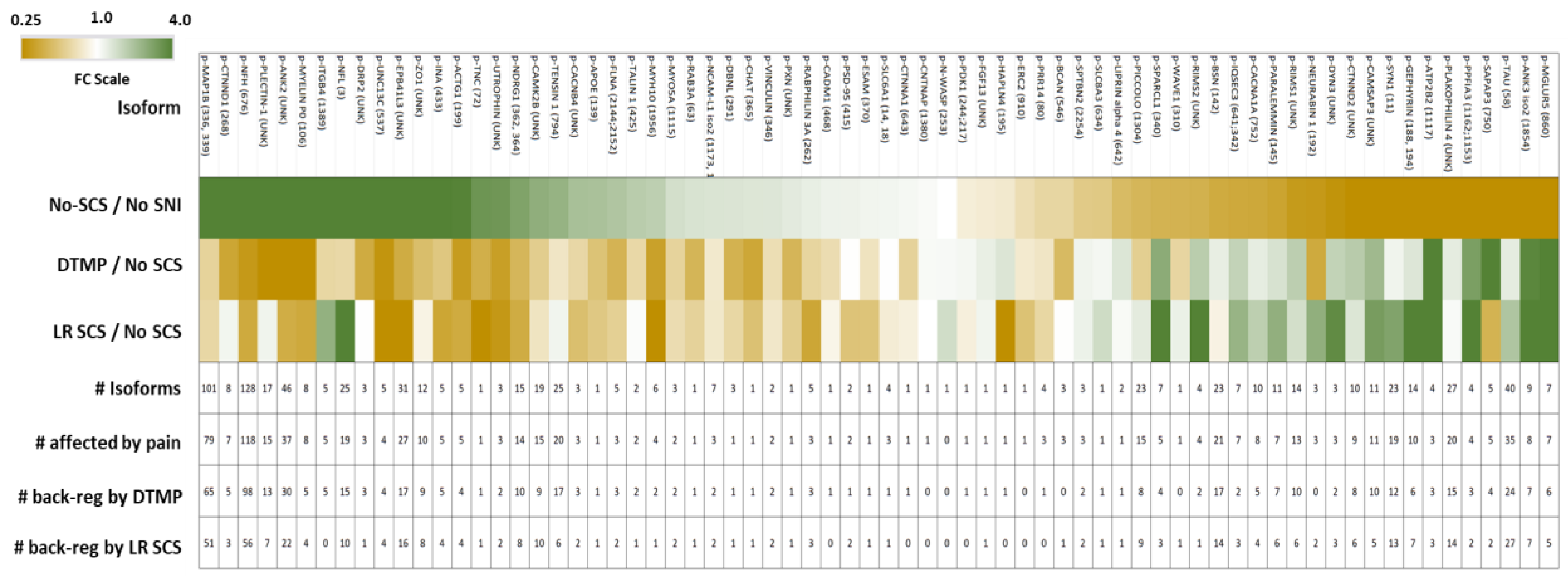 Biology 12 00537 g005