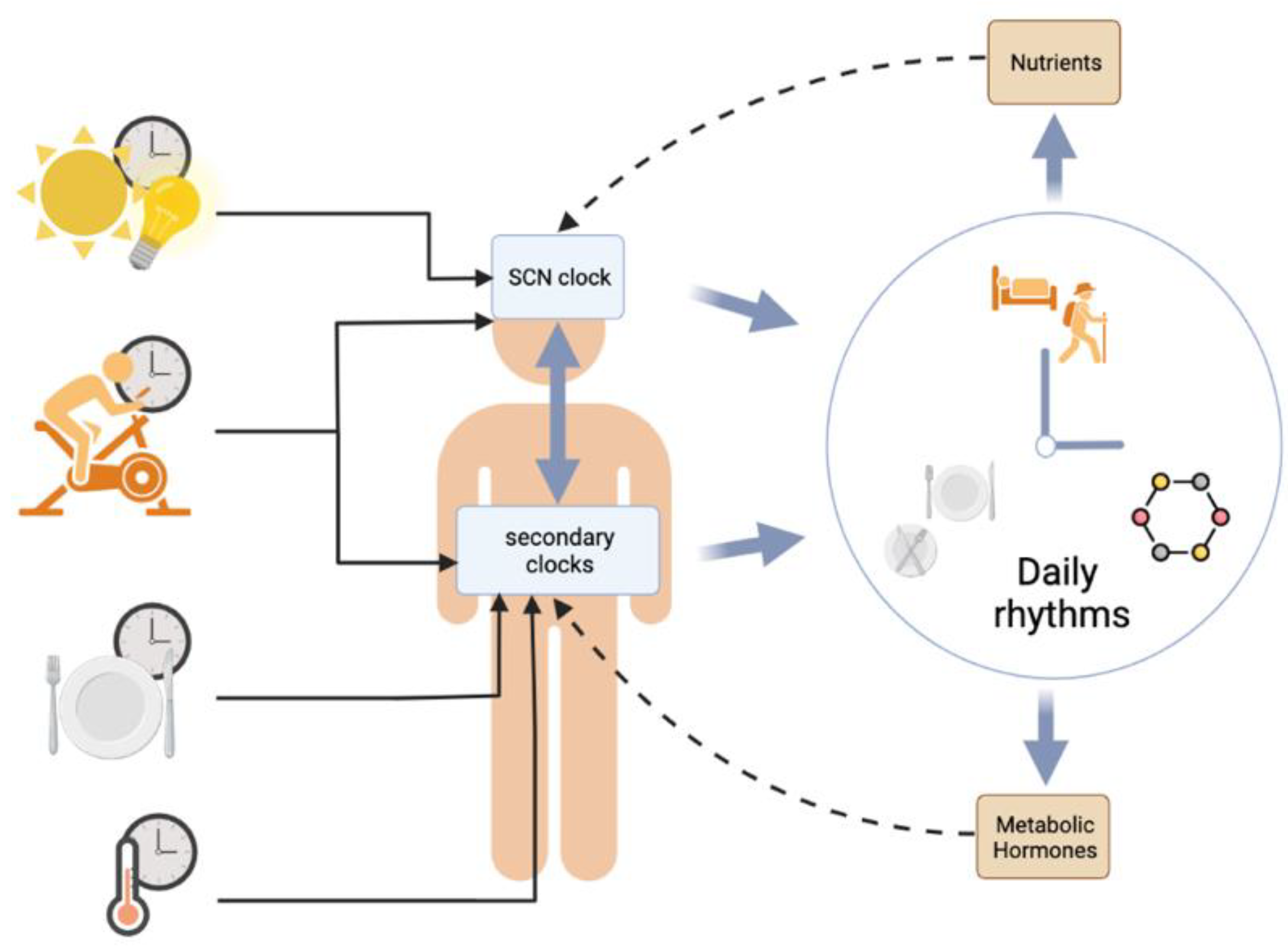 Biology 12 00539 g003 Biology 12 00539 g003