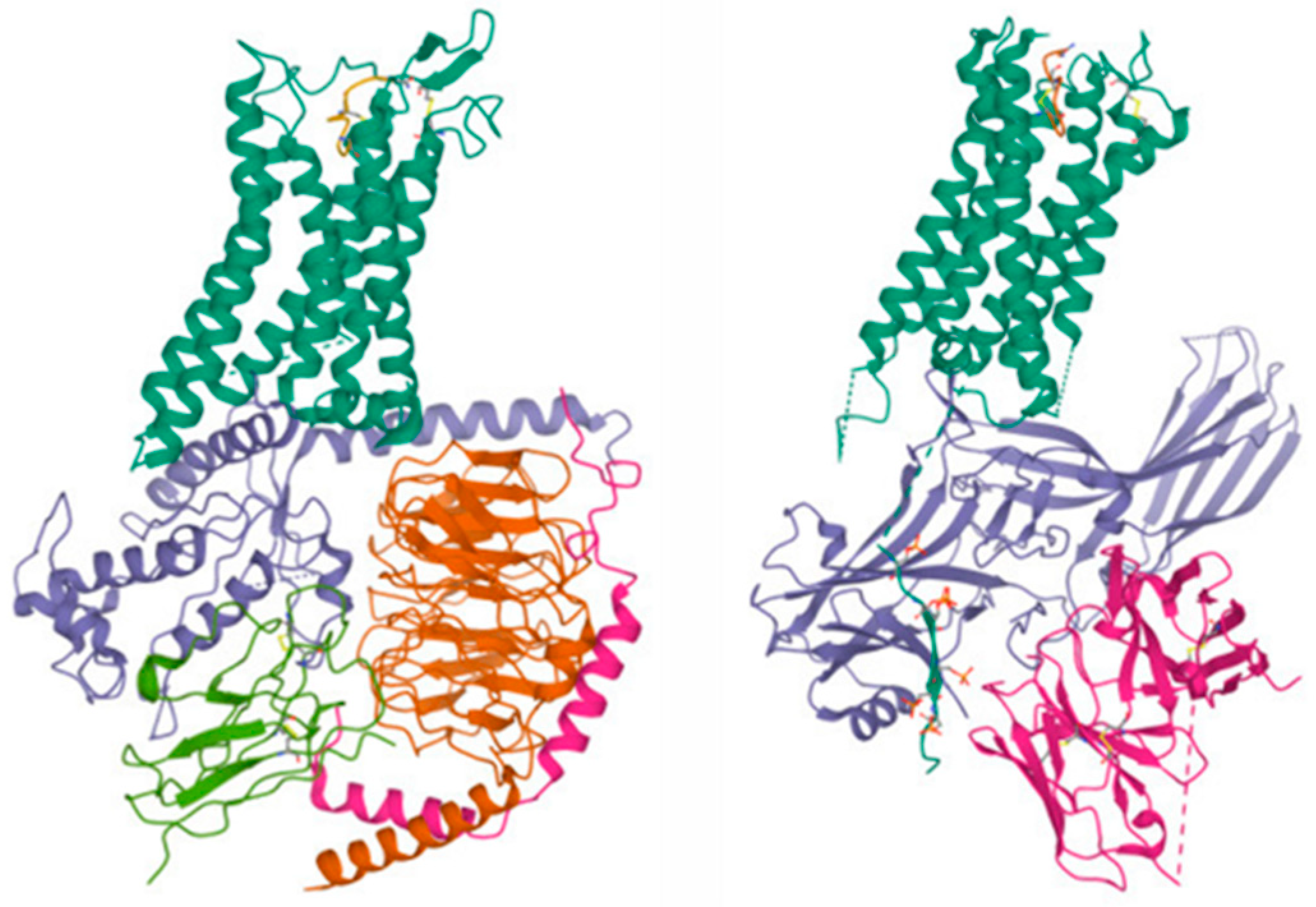 Biology 12 00544 g001