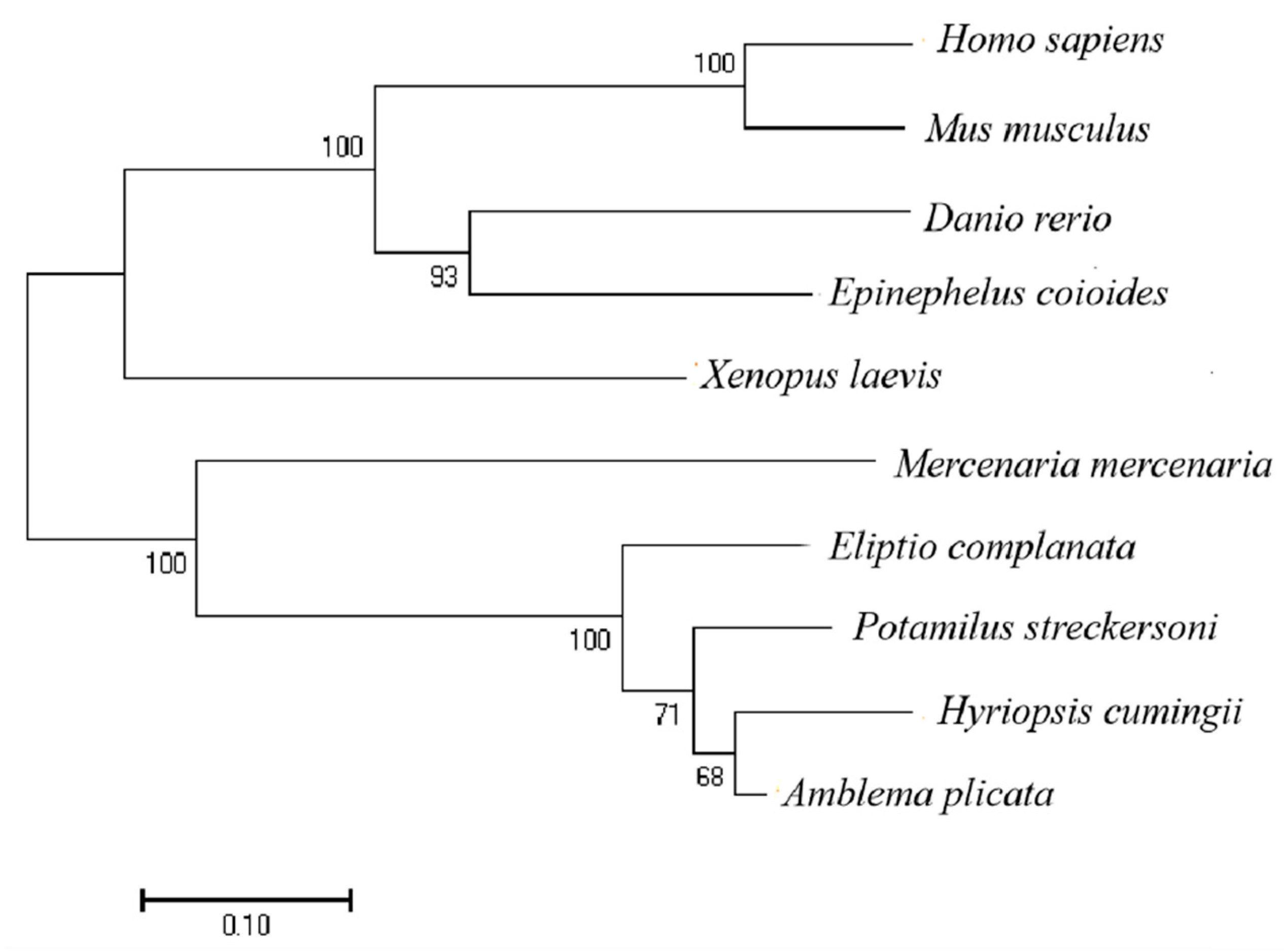Biology 12 00548 g004 550
