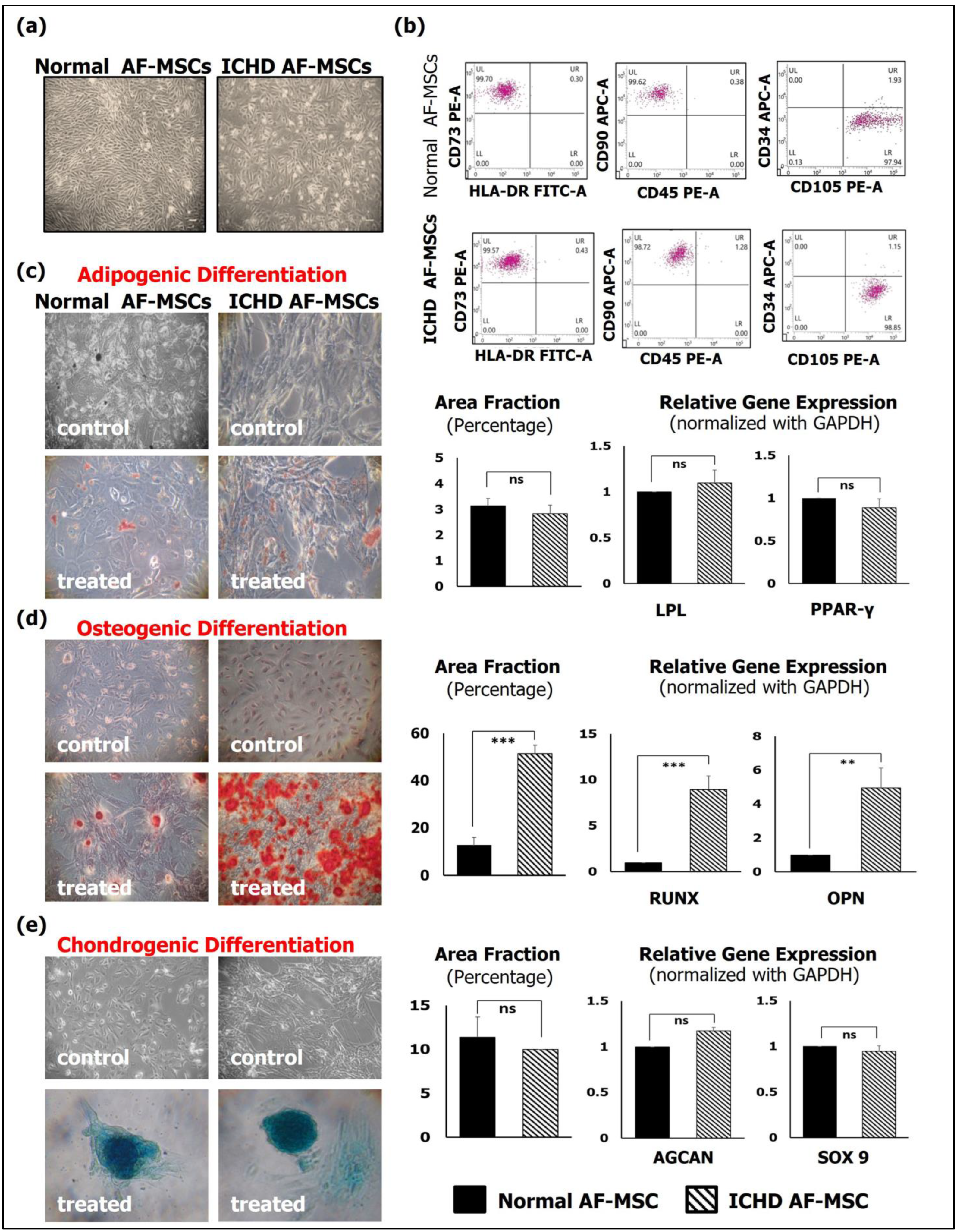 Biology 12 00552 g001 Biology 12 00552 g001