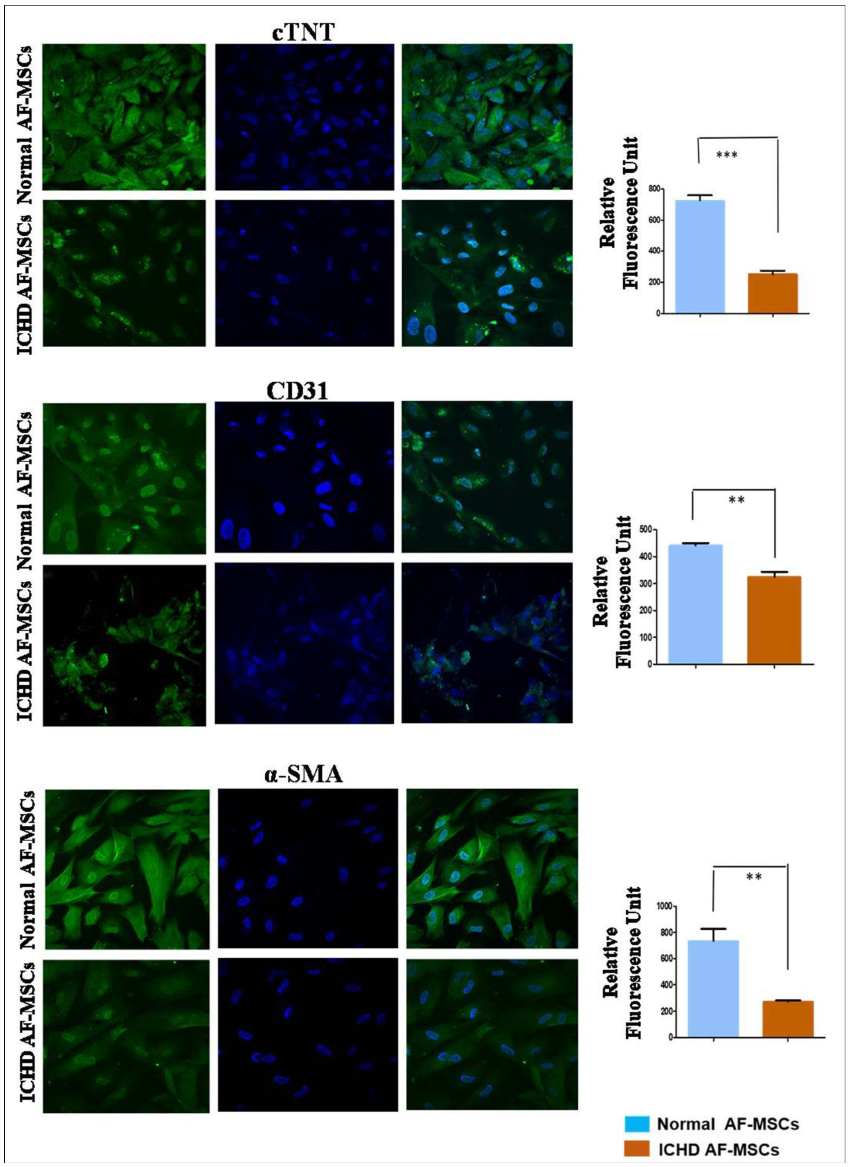 Biology 12 00552 g004 Biology 12 00552 g004