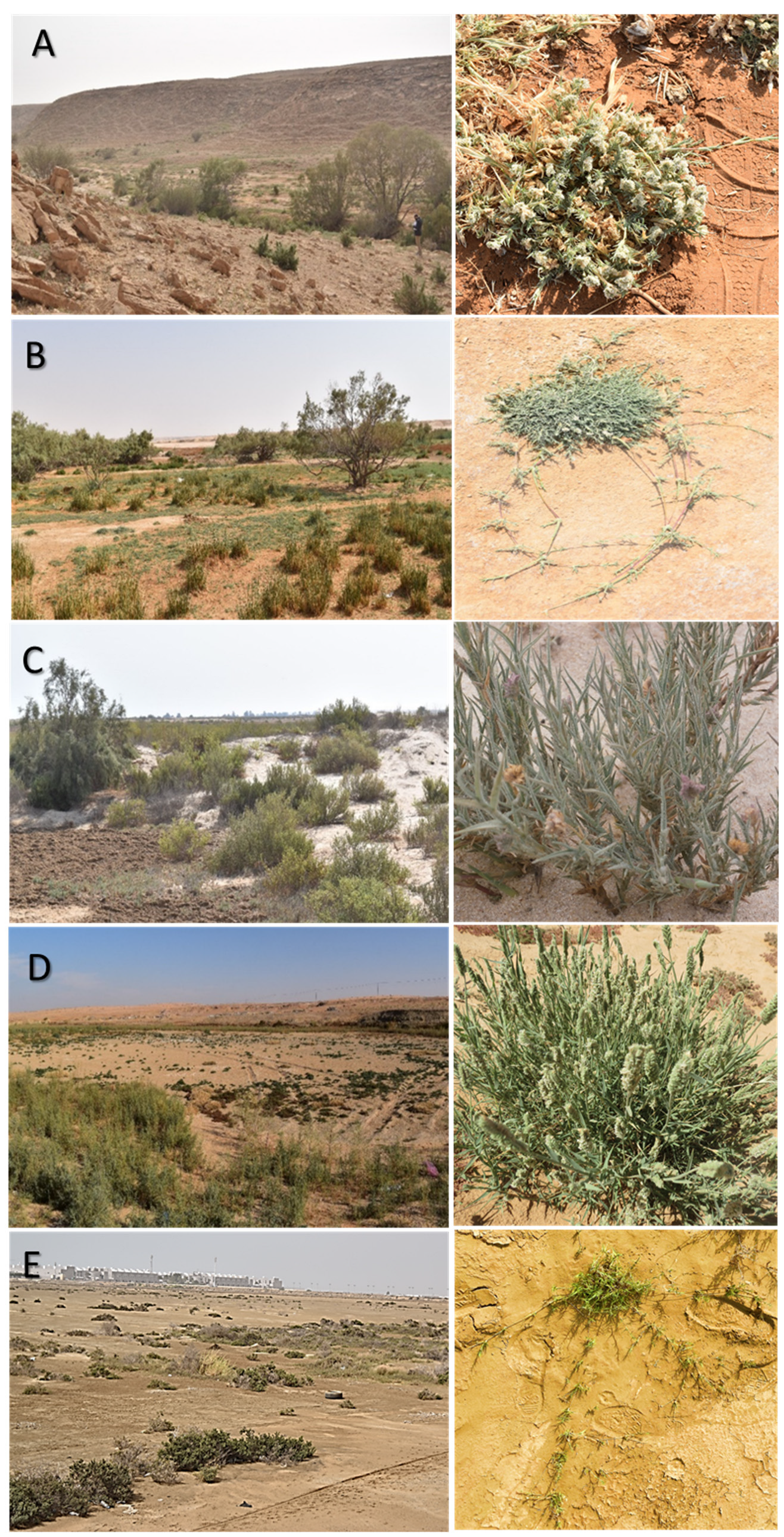 Biology 12 00553 g001 Biology 12 00553 g001