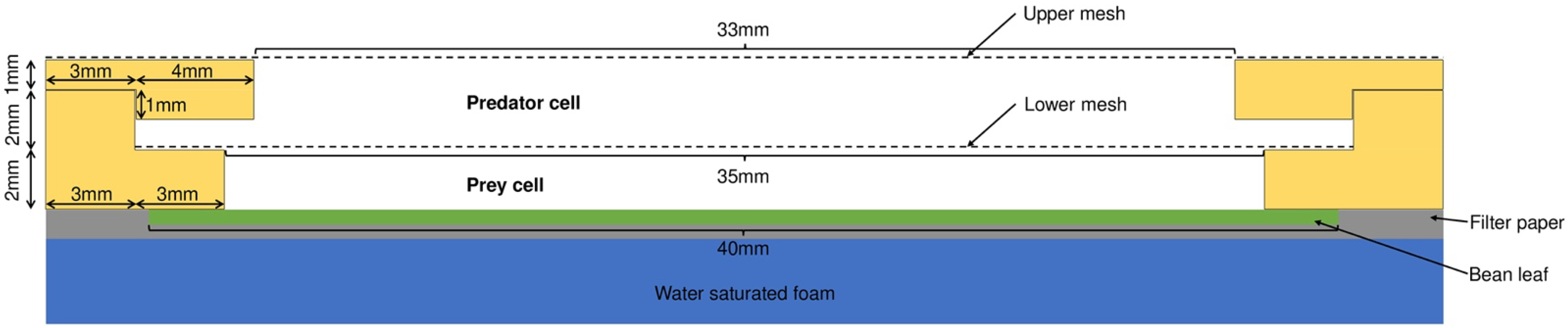 Biology 12 00554 g001