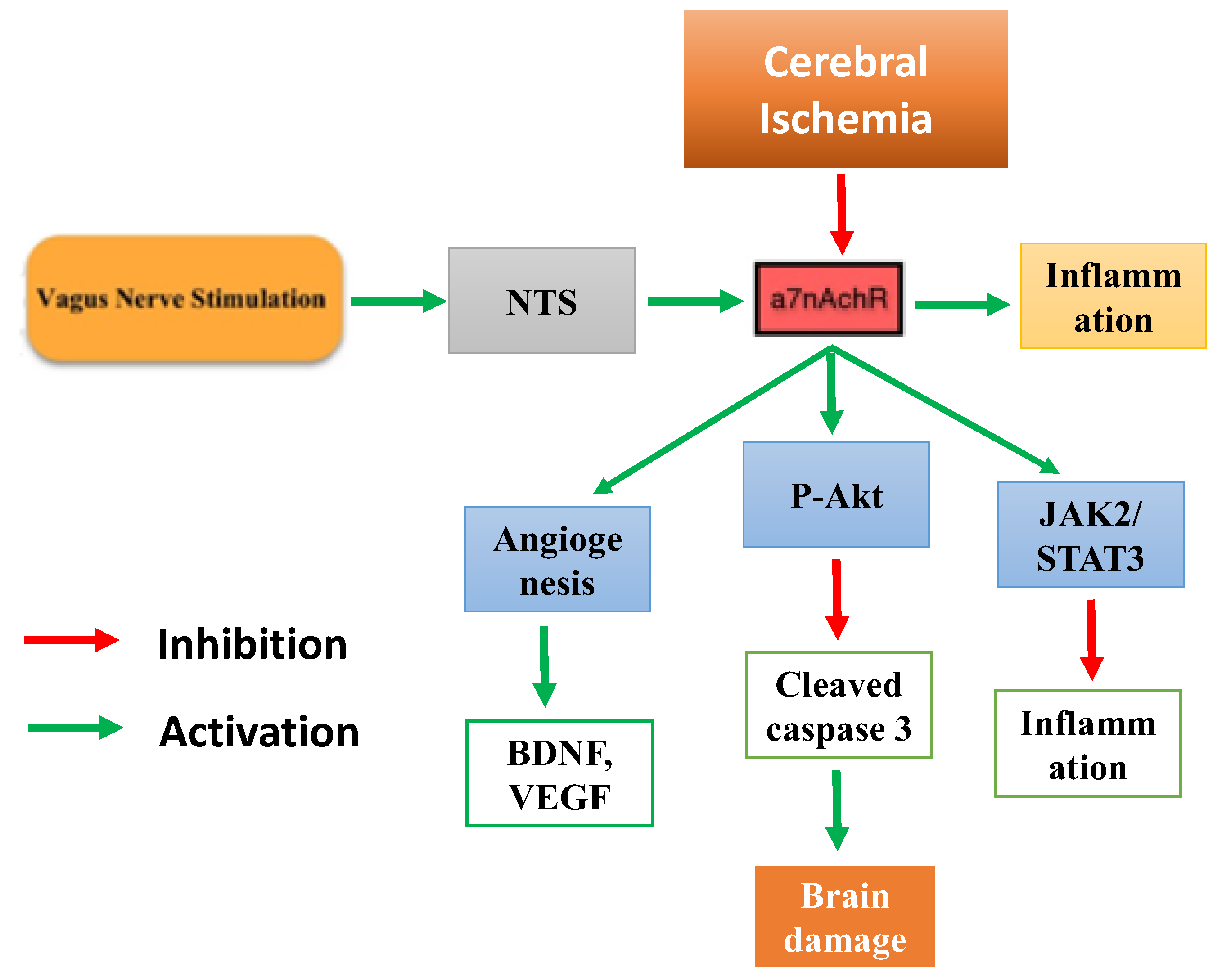 Biology 12 00555 g007