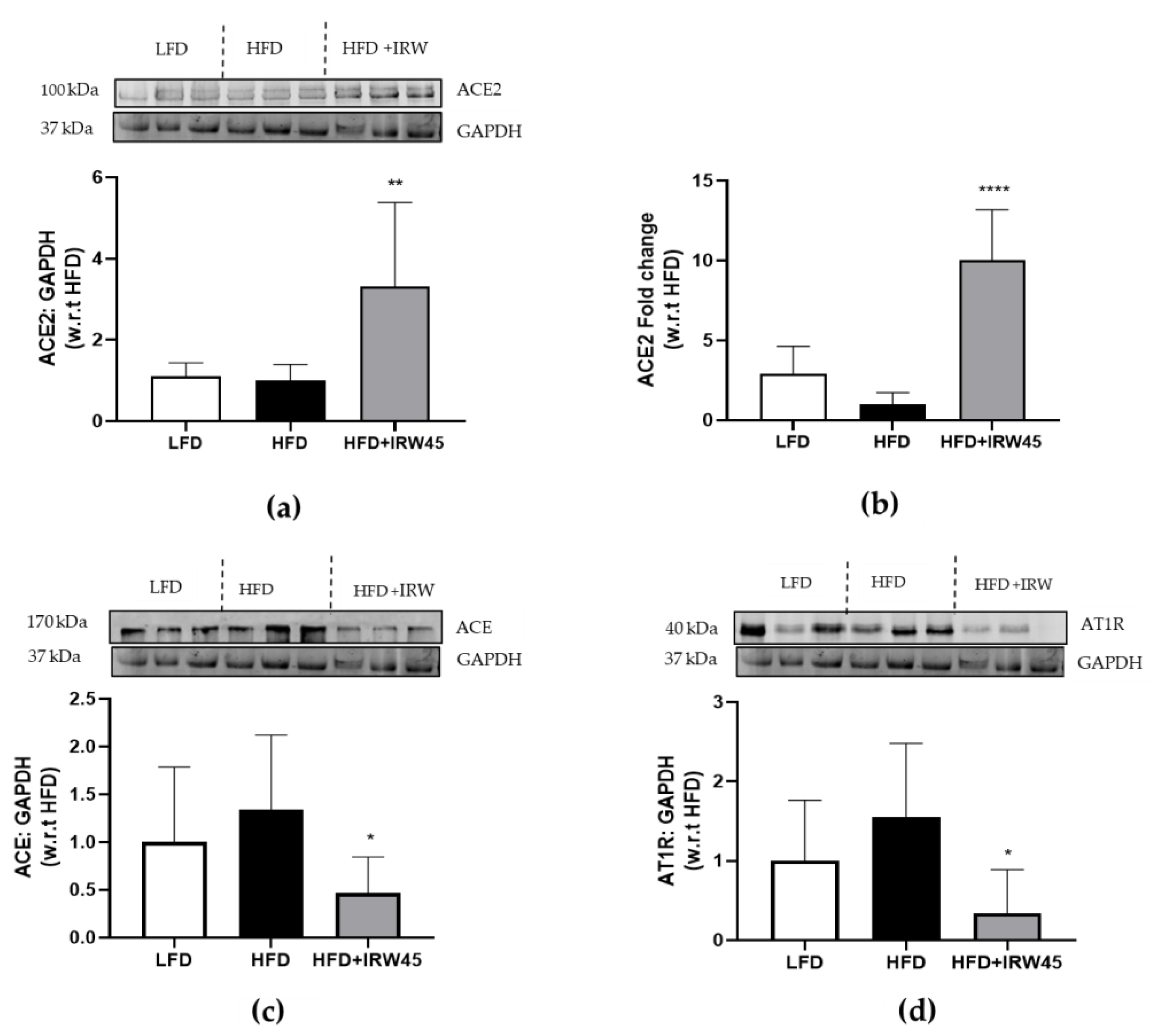 Biology 12 00556 g001