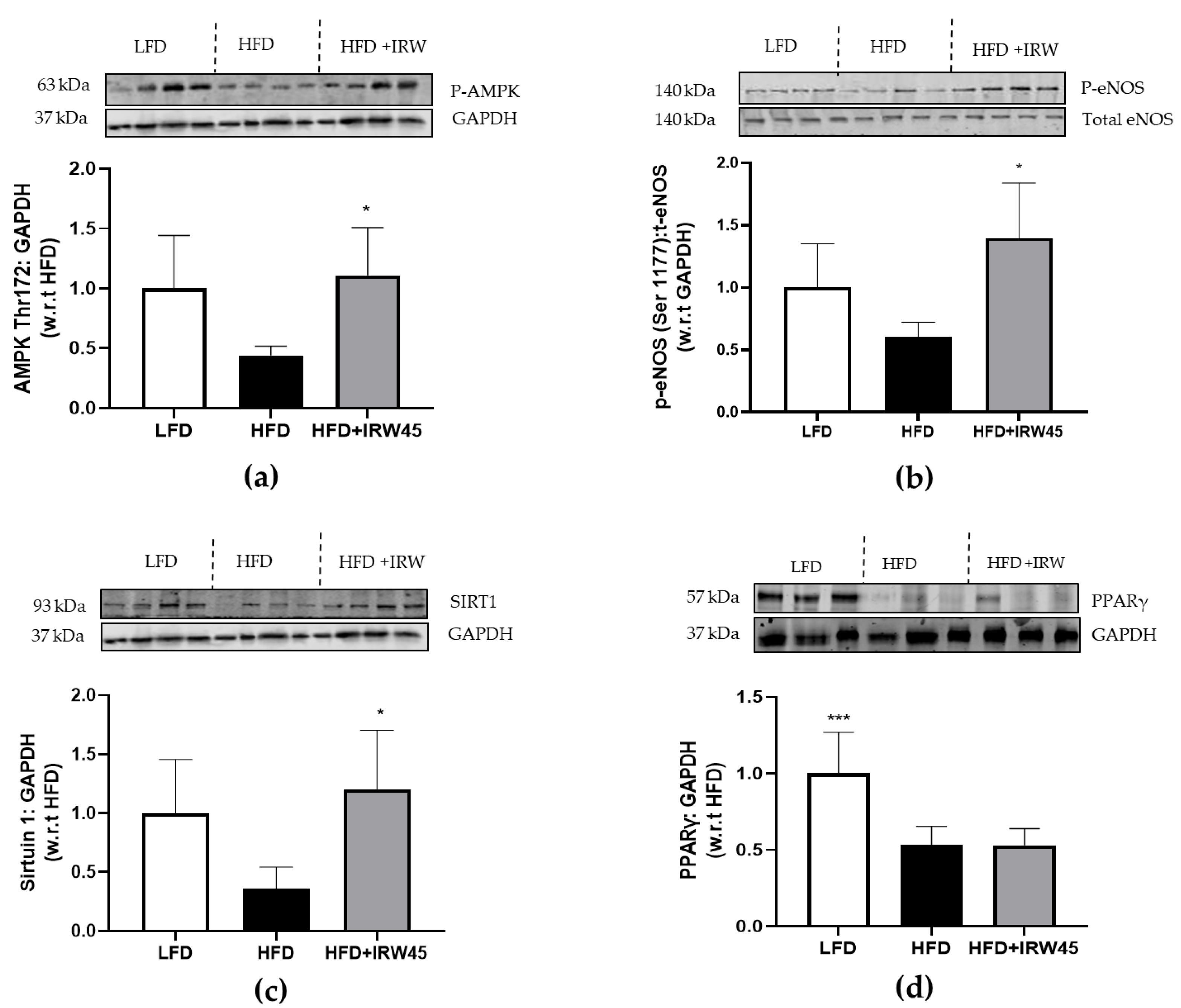 Biology 12 00556 g002