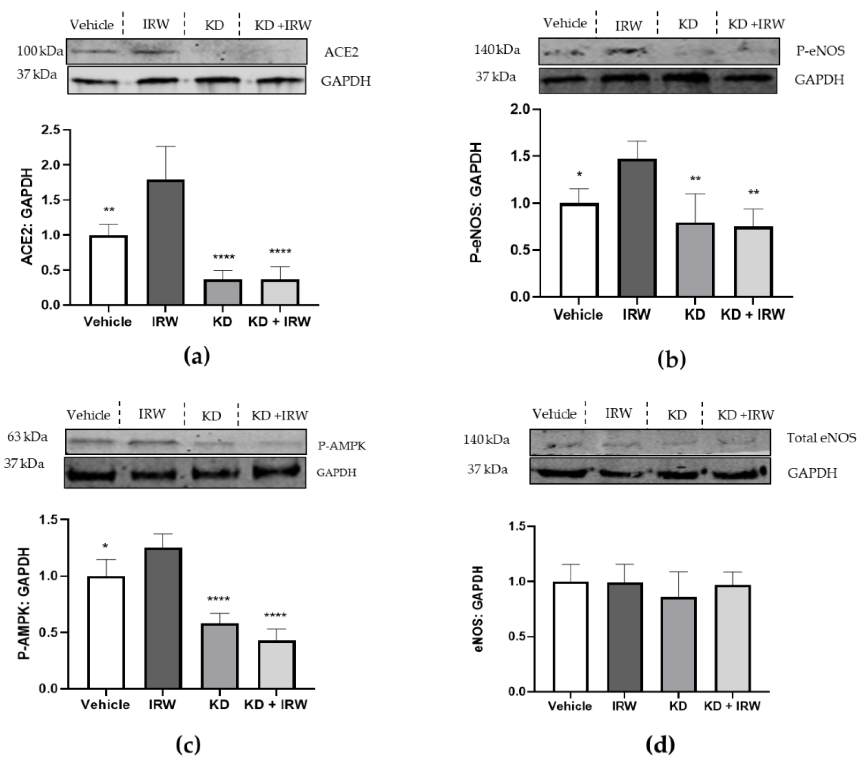 Biology 12 00556 g003