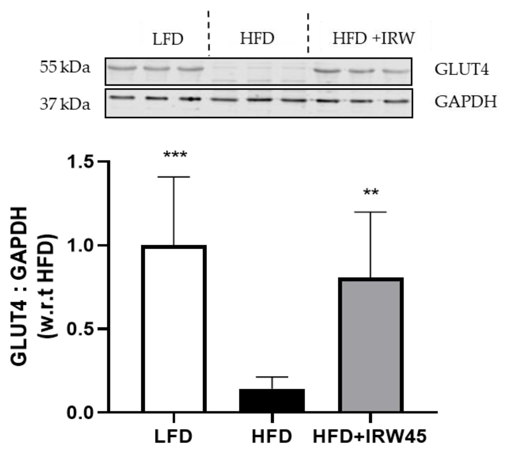 Biology 12 00556 g004