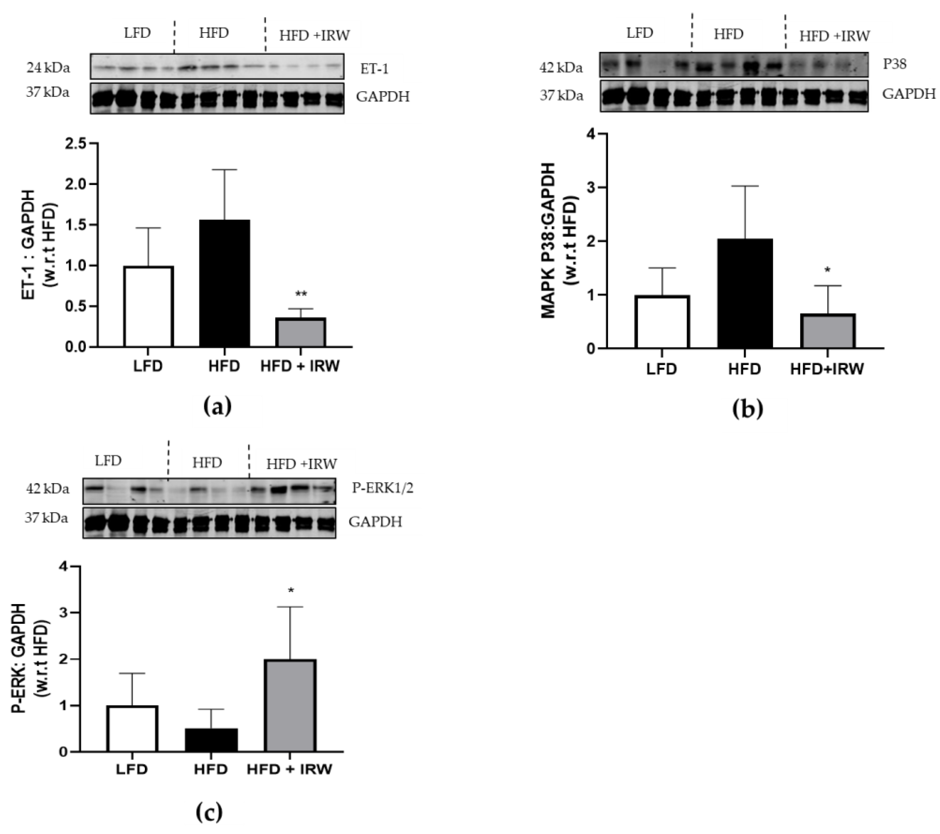Biology 12 00556 g005
