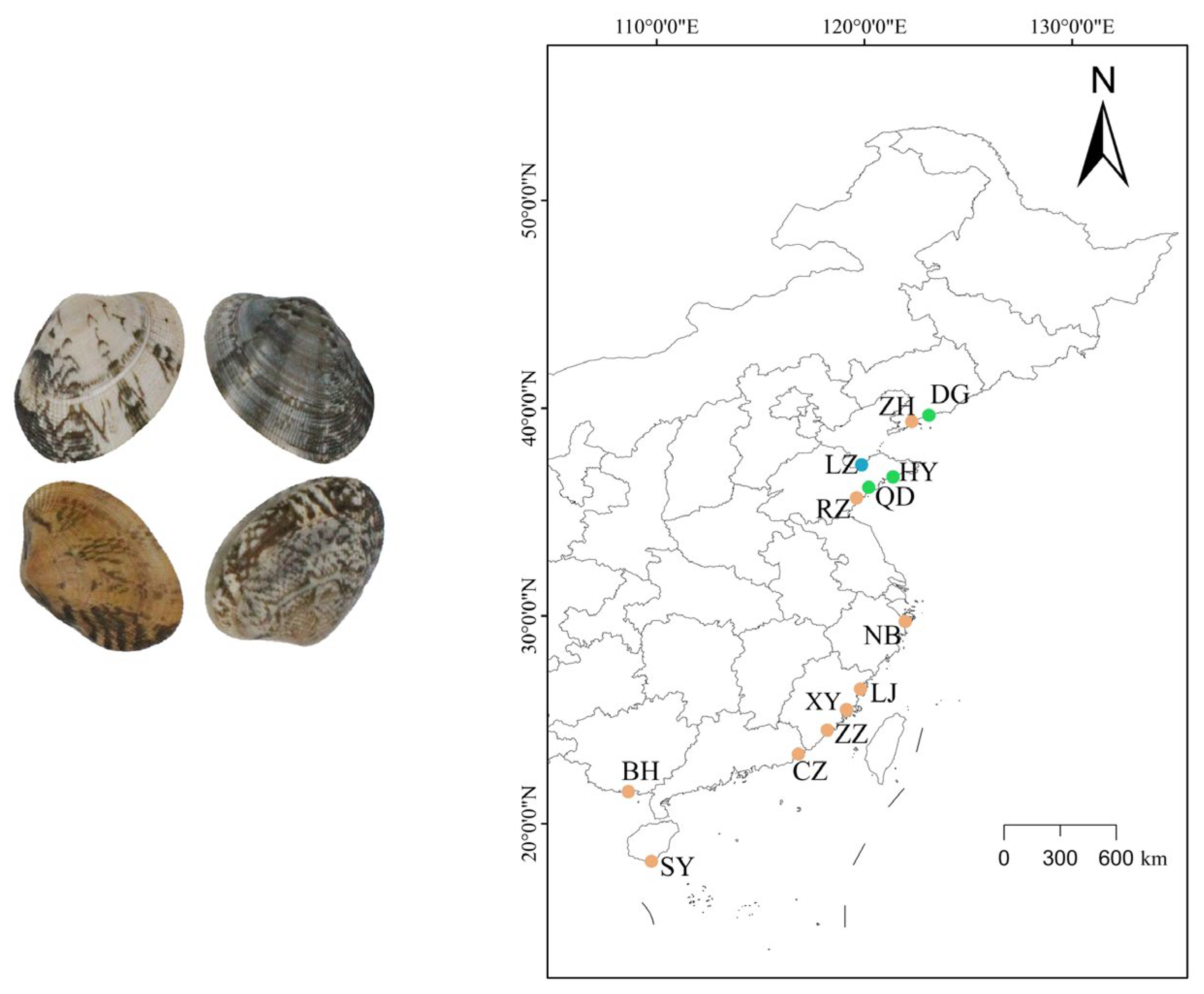 Biology 12 00557 g001 Biology 12 00557 g001