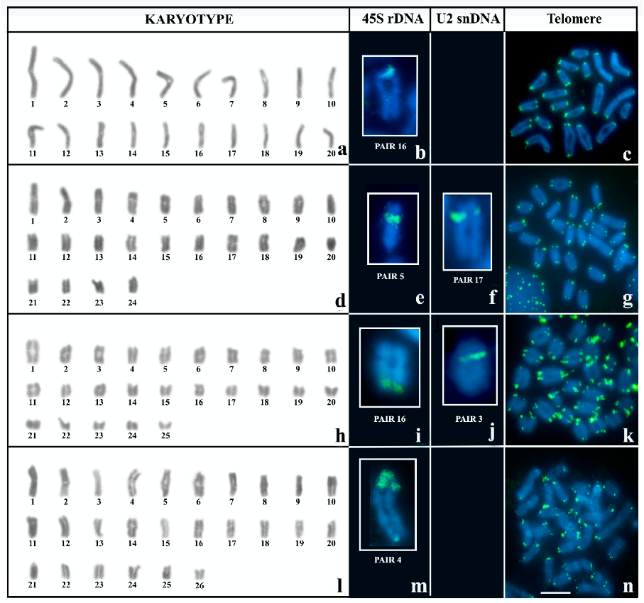 Biology 12 00563 g001